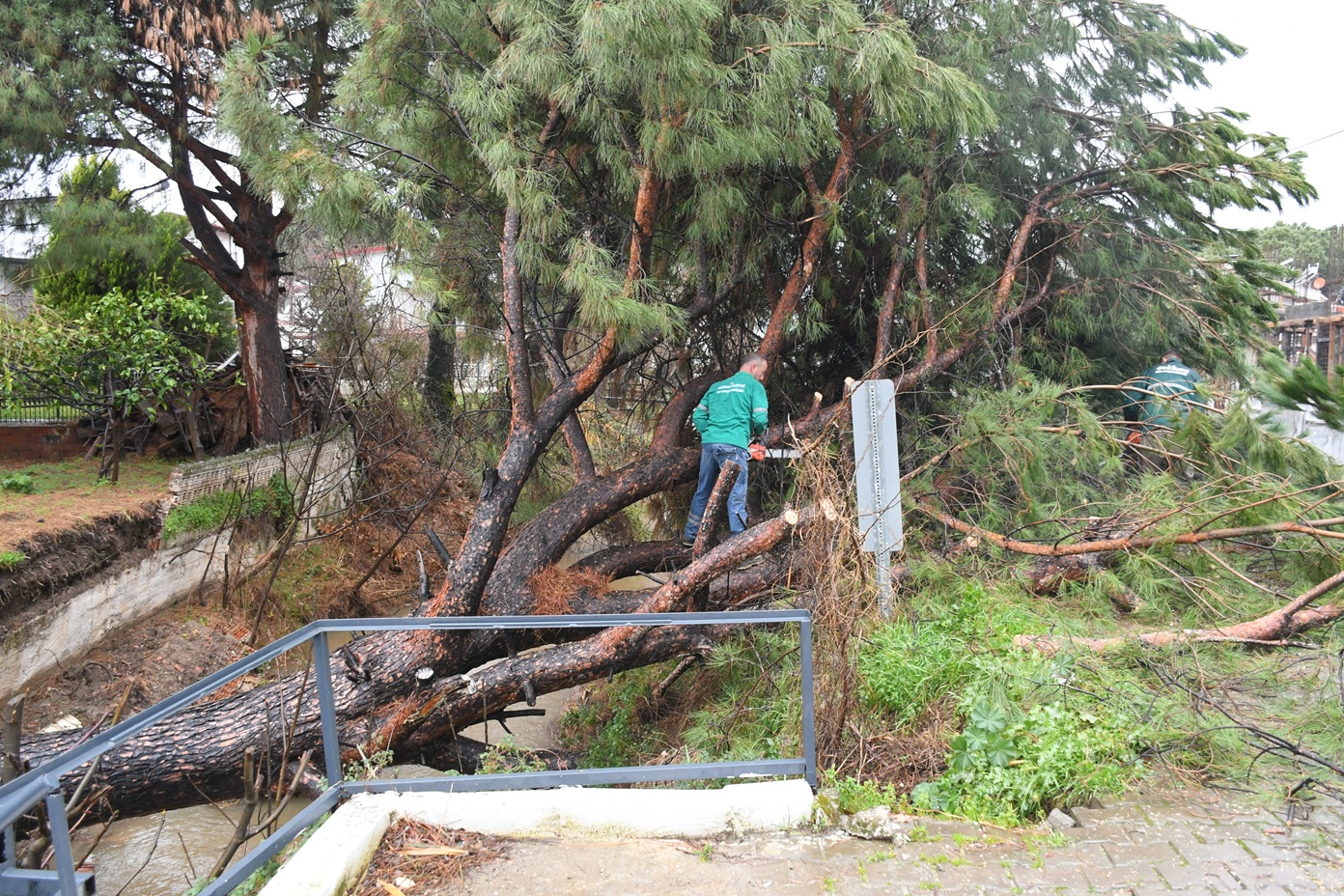 Kuşadasi Beledi̇yesi̇ Olasi Bi̇r Faci̇anin Önüne Geçti̇ (6)