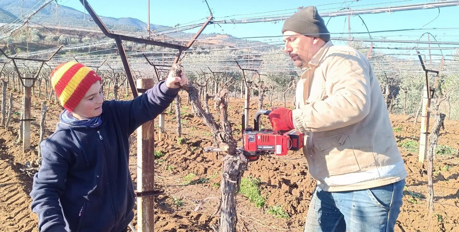 Üzüm Üreticisi Yenilik Peşinde (3)