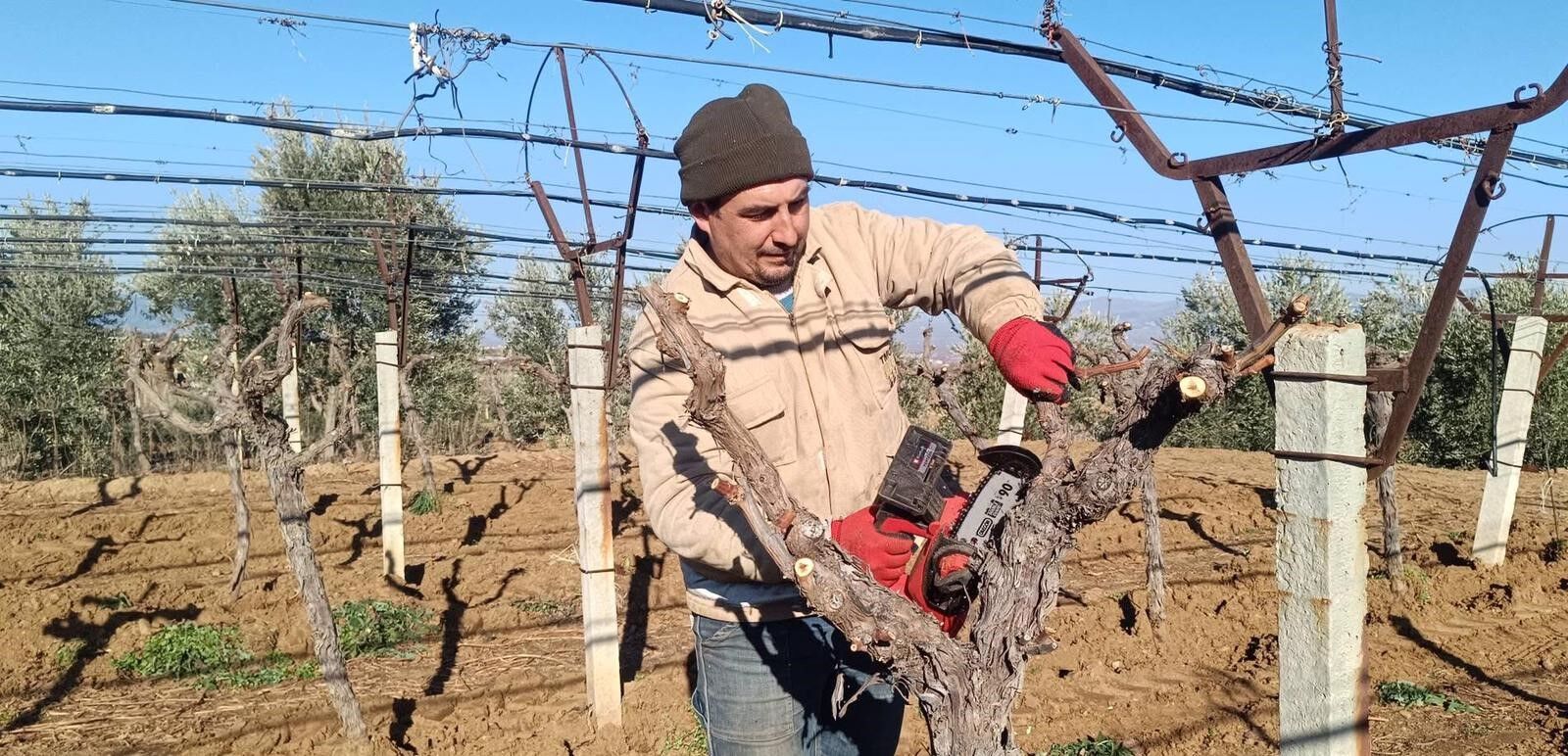 Üzüm Üreticisi Yenilik Peşinde (4)