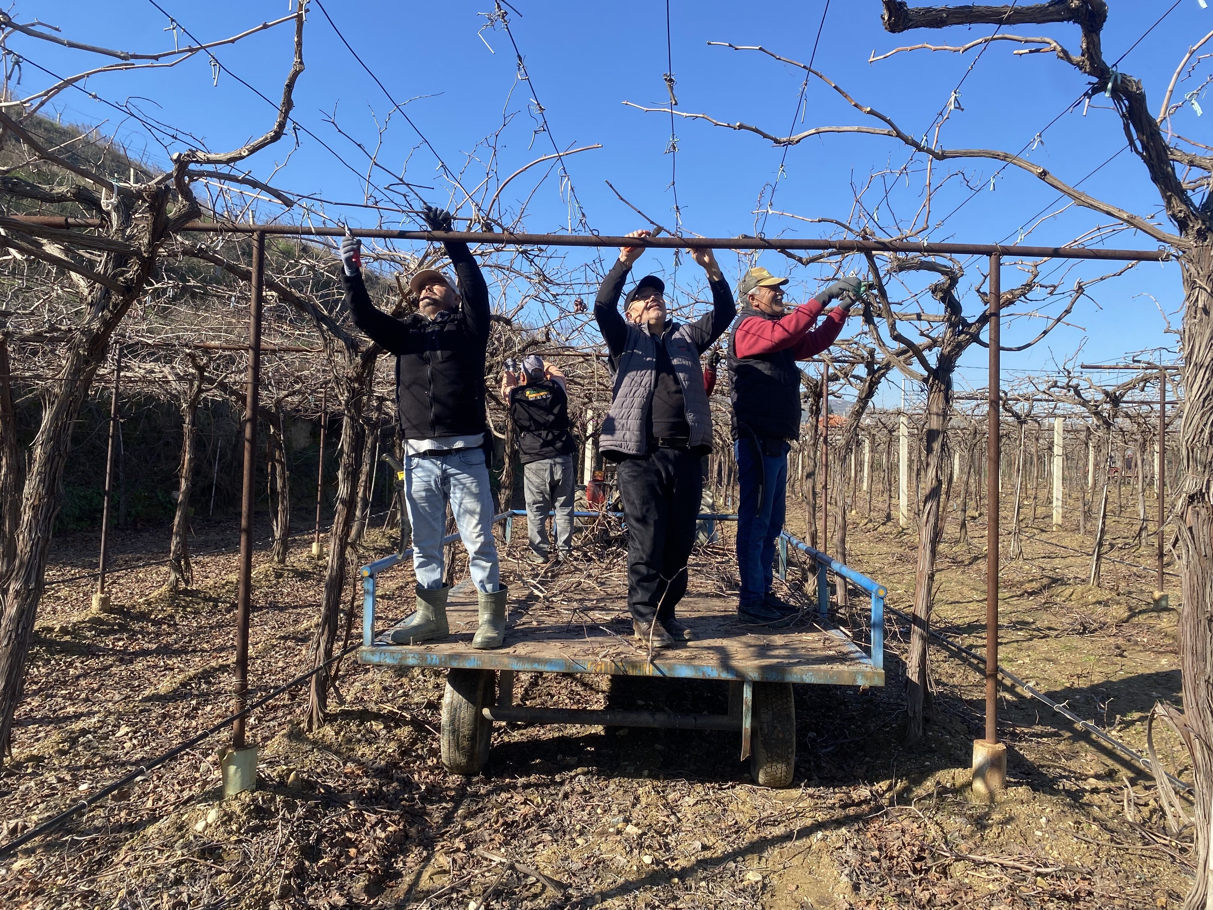 Yağmur Çiftçiye Umut Oldu (1)