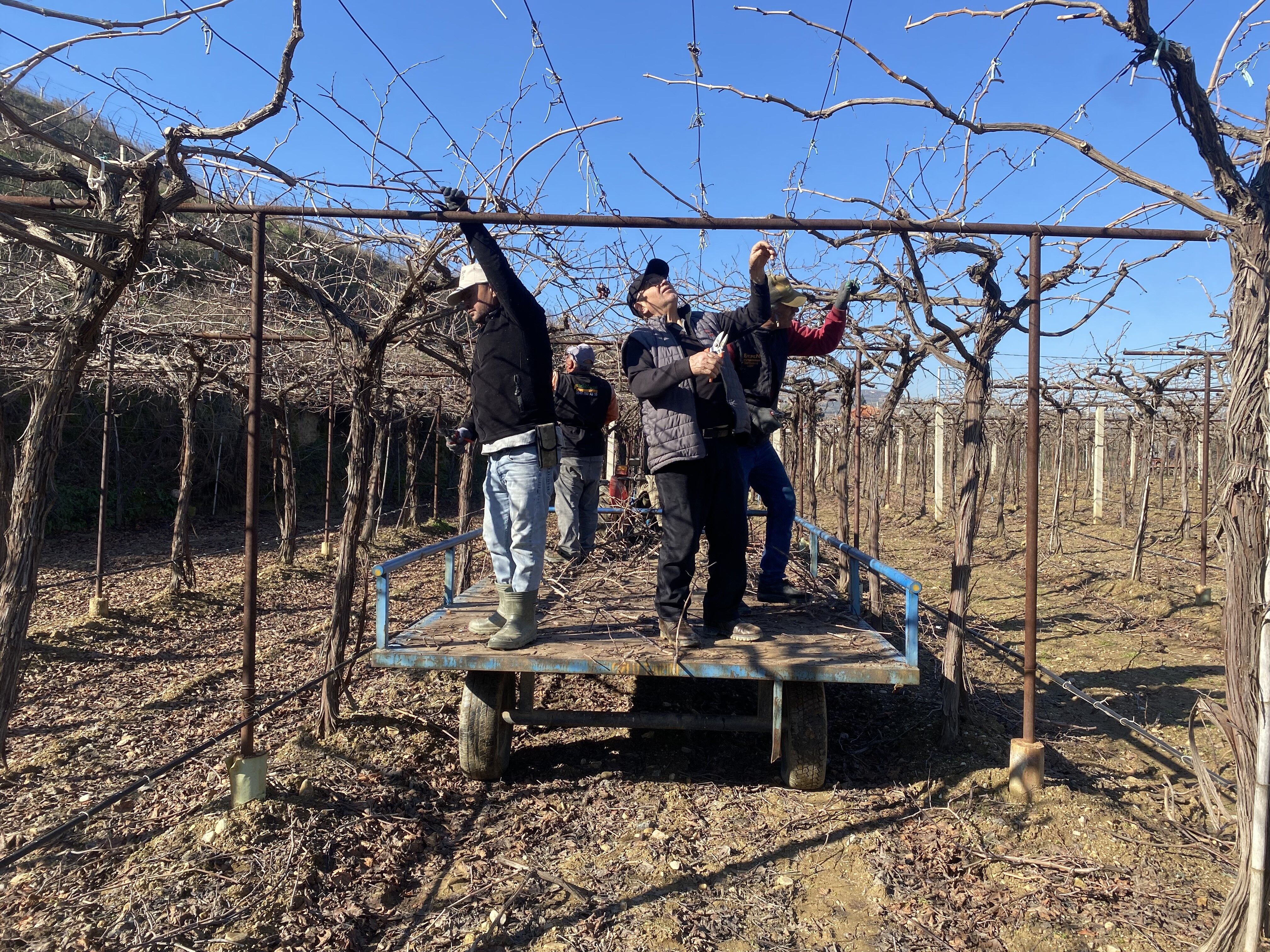 Yağmur Çiftçiye Umut Oldu (4)