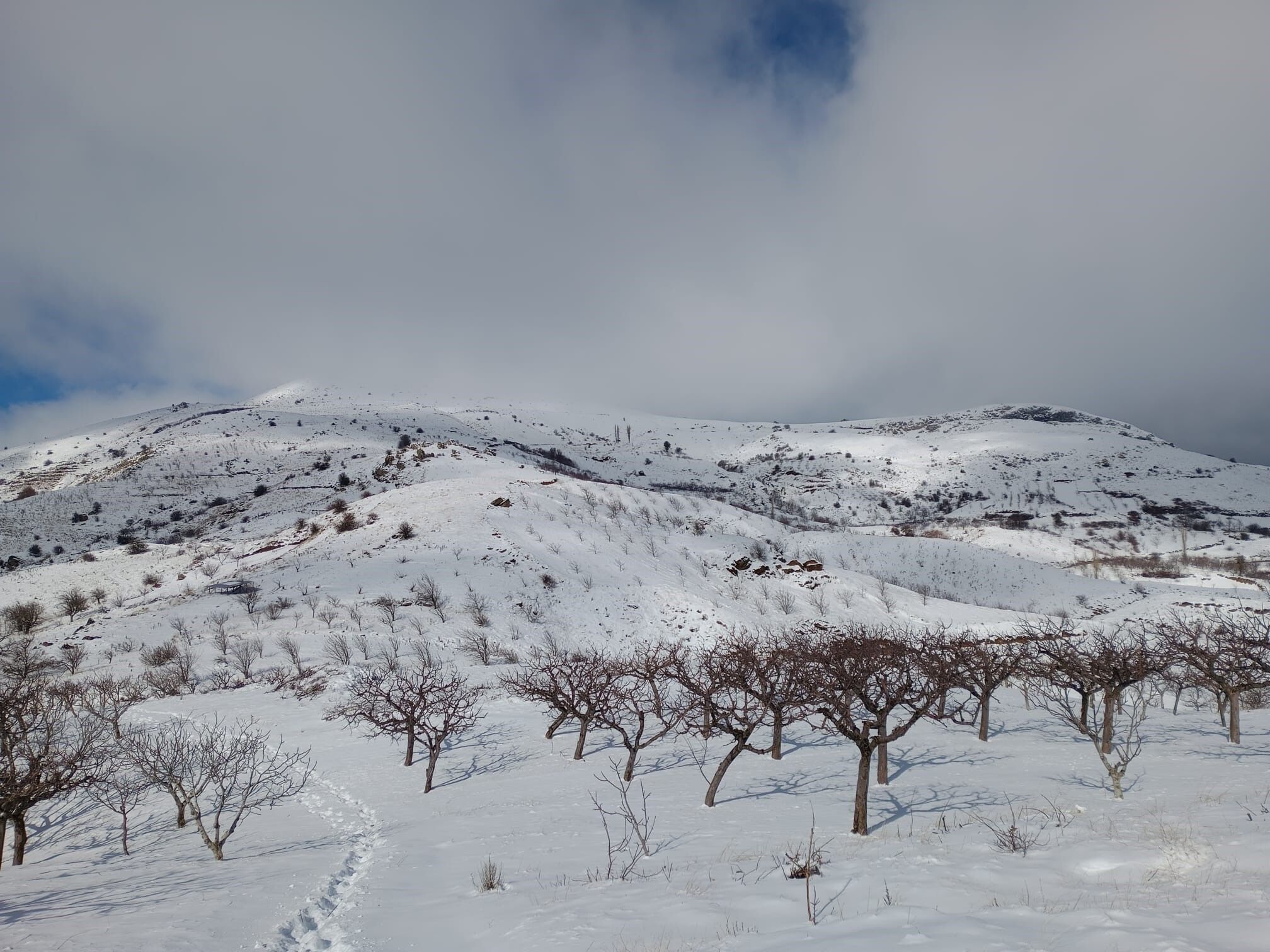 Yağmur Çiftçiye Umut Oldu (6)