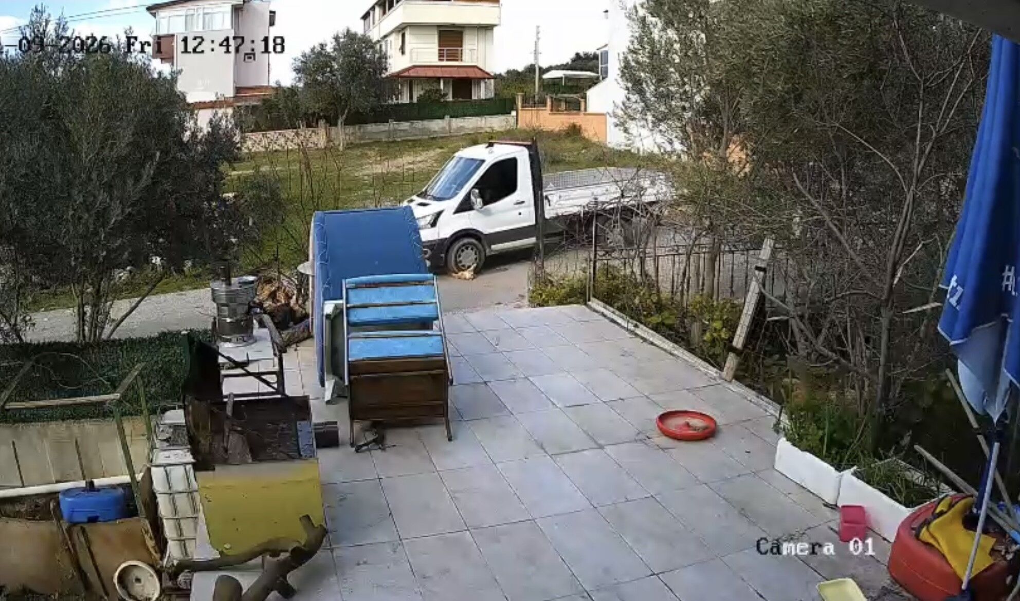 Yerde Yatan Köpeği Ezip Yoluna Devam Etti (2)