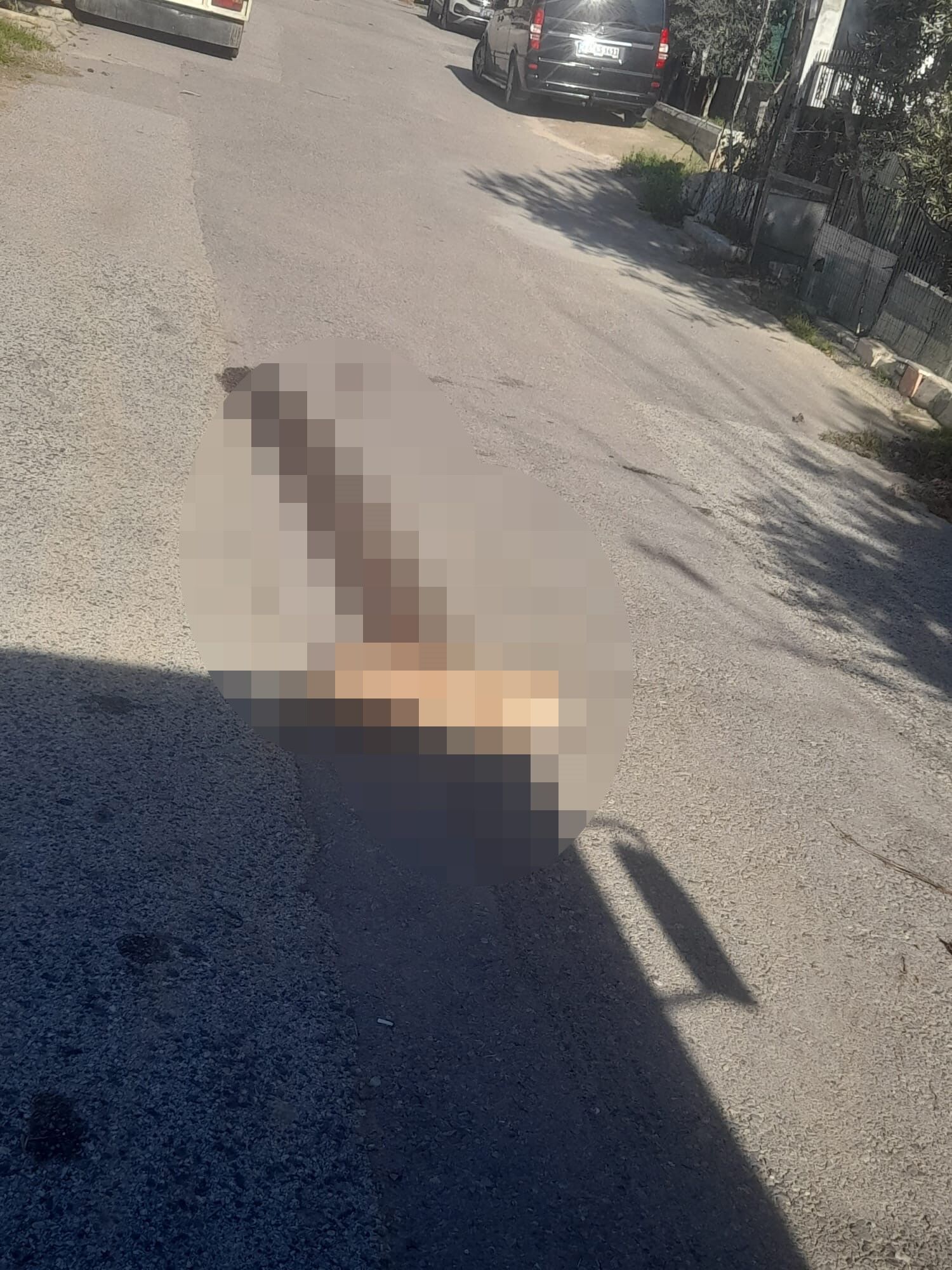 Yerde Yatan Köpeği Ezip Yoluna Devam Etti (4)