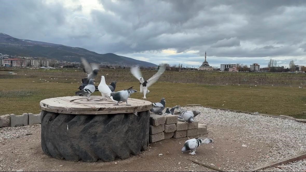 100 Bin Liraya Kuş Sattılar (3)