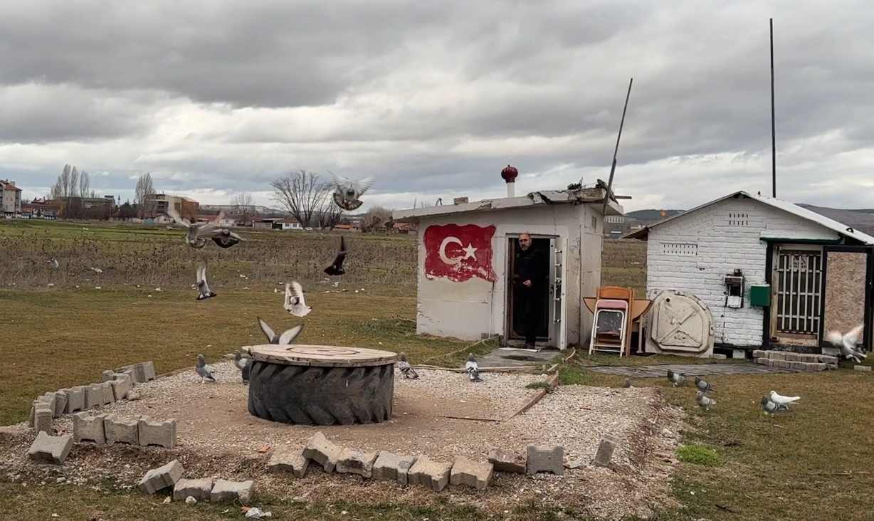 100 Bin Liraya Kuş Sattılar (6)