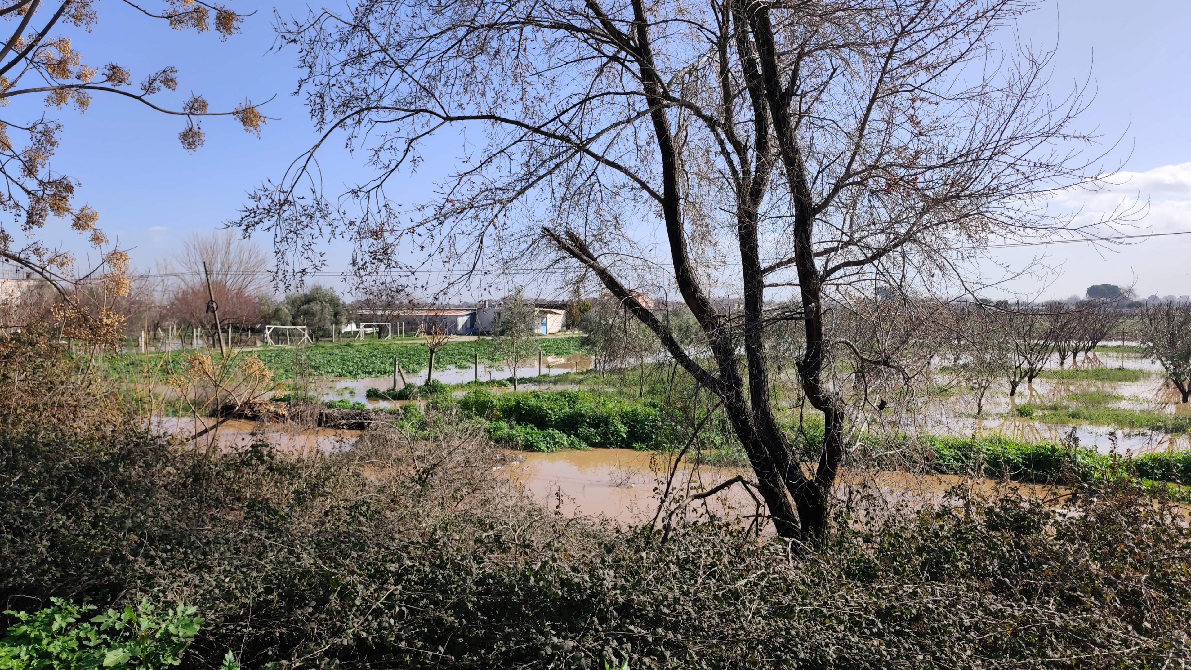 Adımla Geçilen Nehir Taştı (8)