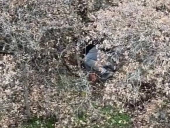 Ağaçların Arasında Basıldılar (3)