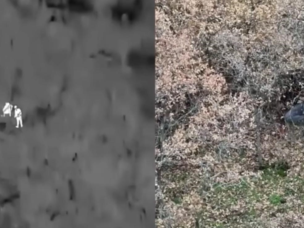 Ağaçların Arasında Basıldılar (4)