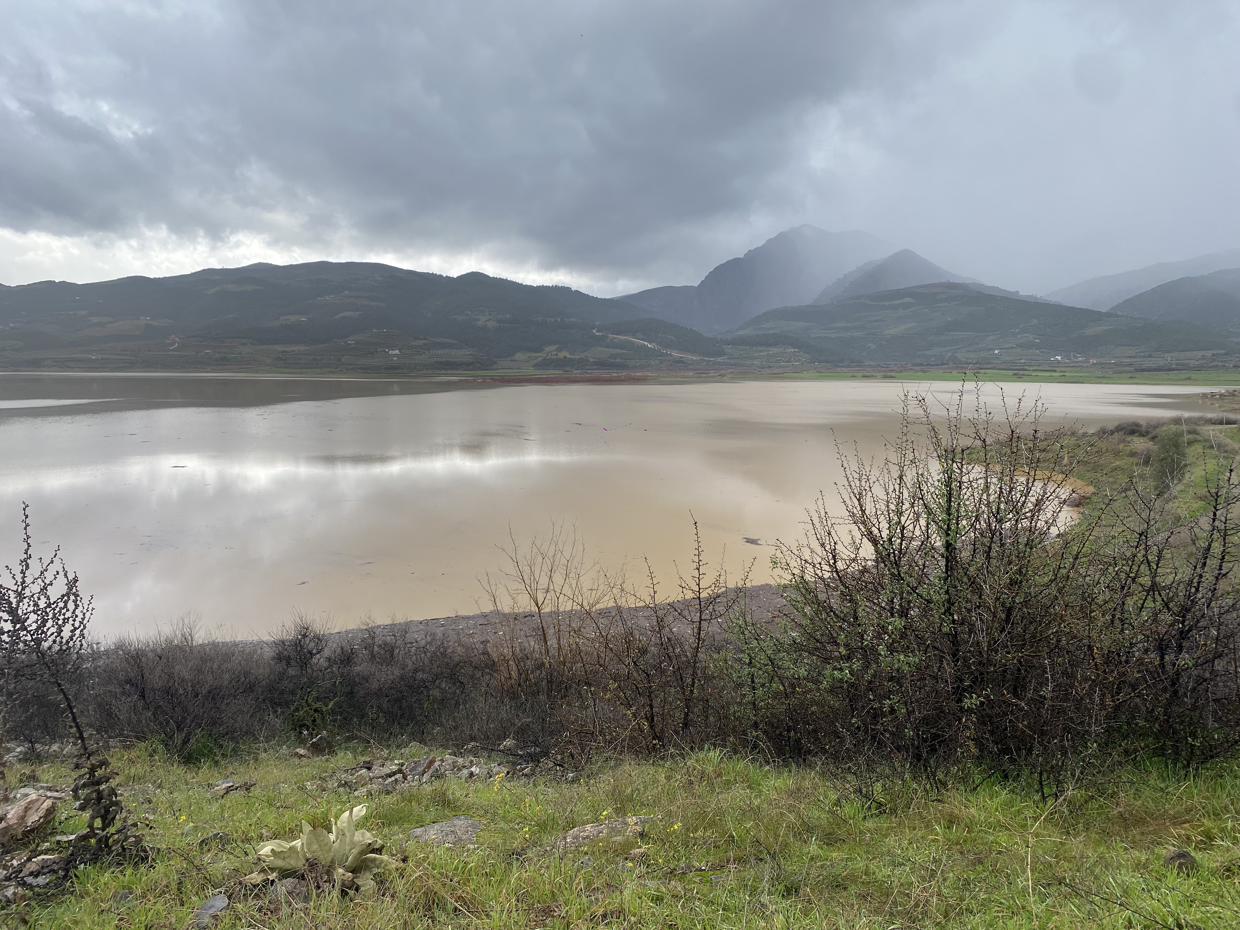 Avşar Barajı'ndan Iyi Haber Geldi (5)