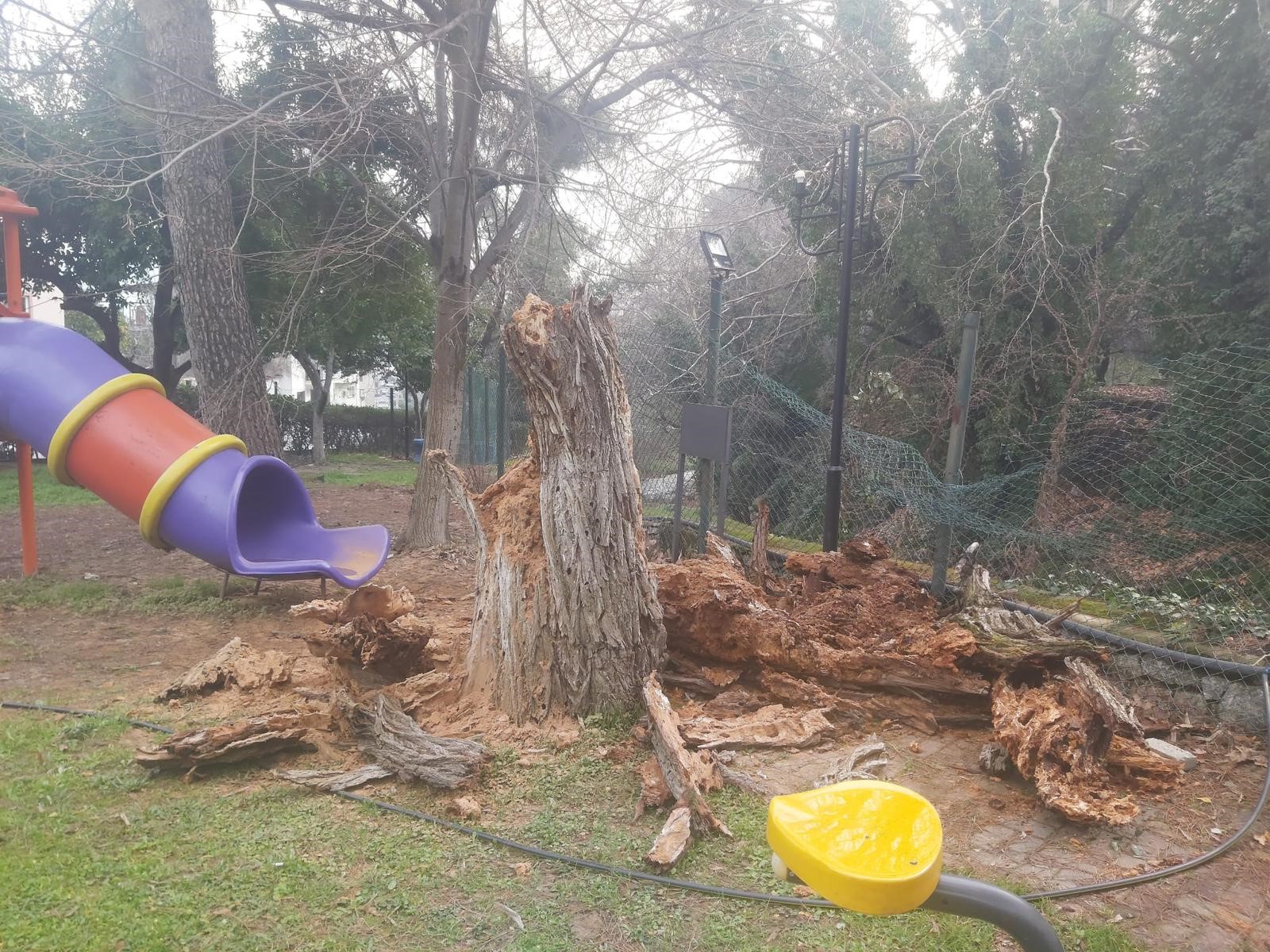 Aydın Bozdoğan’da Duvar Çöktü, Yaralananlar Var (2)