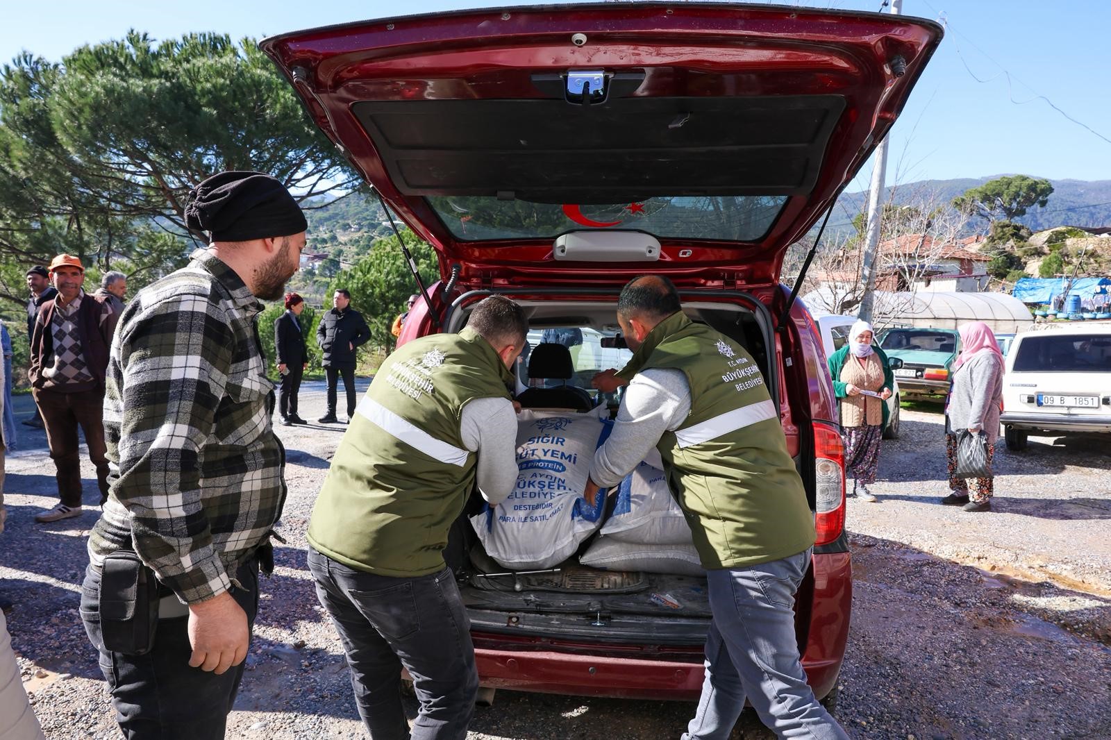 Aydın Büyükşehir'in Üreticilere Yem Desteği Devam Ediyor (5)