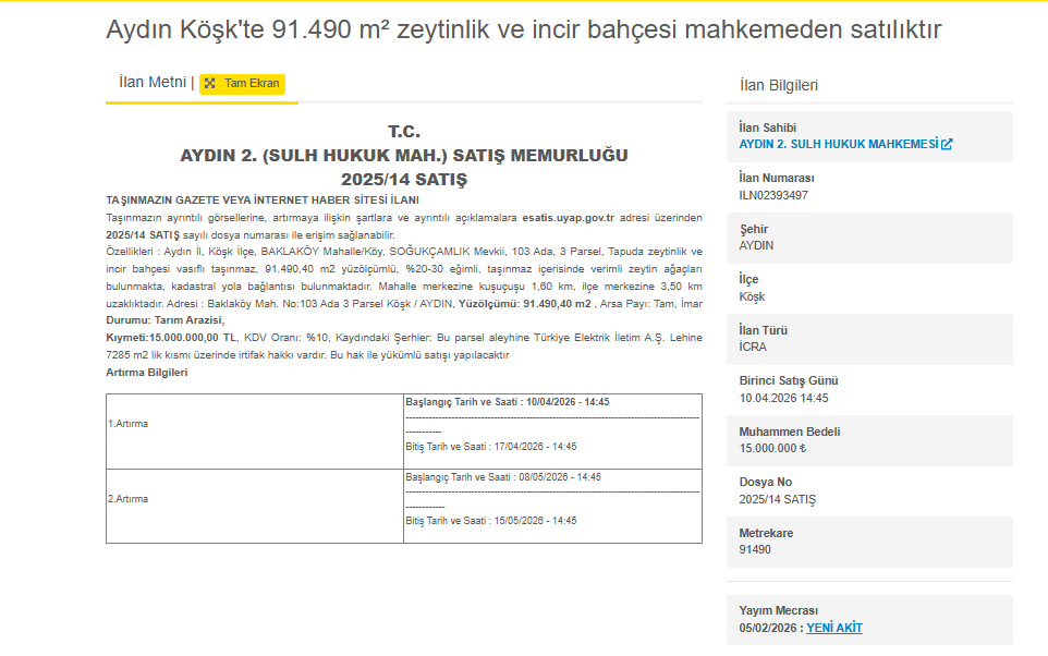 Aydın Köşk’te Icradan Zeytinlik Ve Incir Bahçesi Satışa Çıktı (1)-1