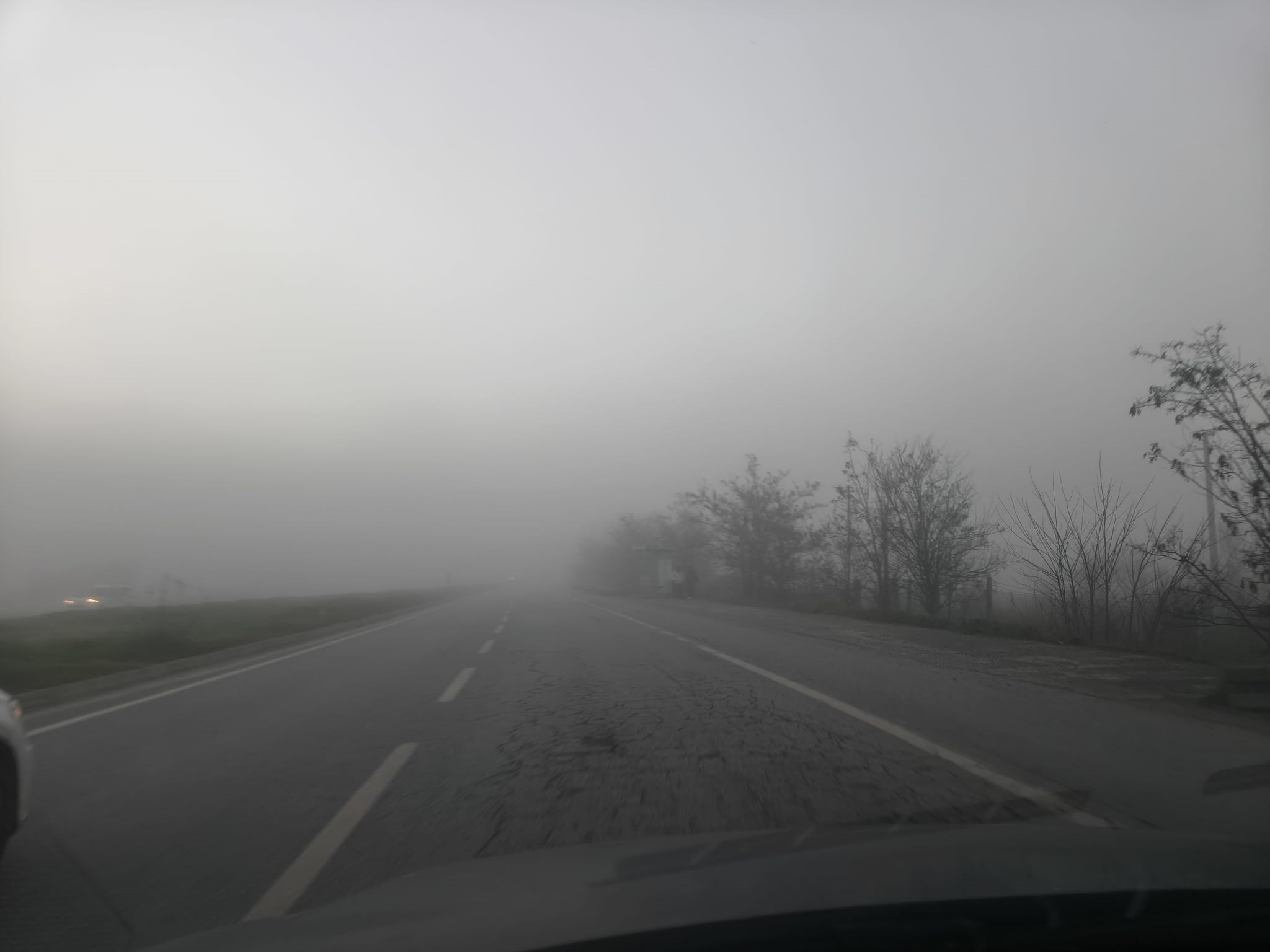 Aydın’a Sis Çöktü (3)-2