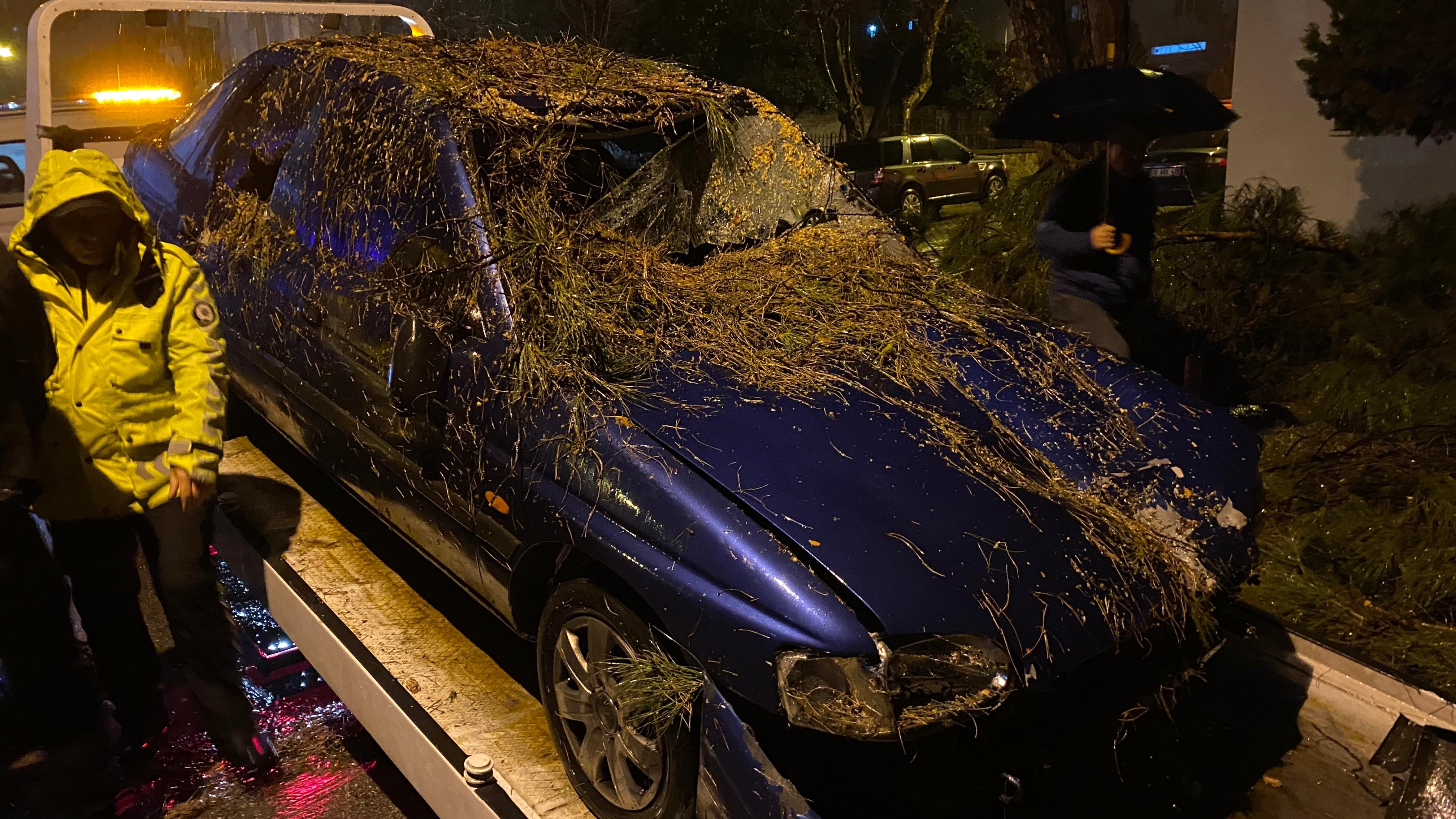 Aydın’da Ağaç Devrildi, 2 Kişi Altında Kaldı (1)