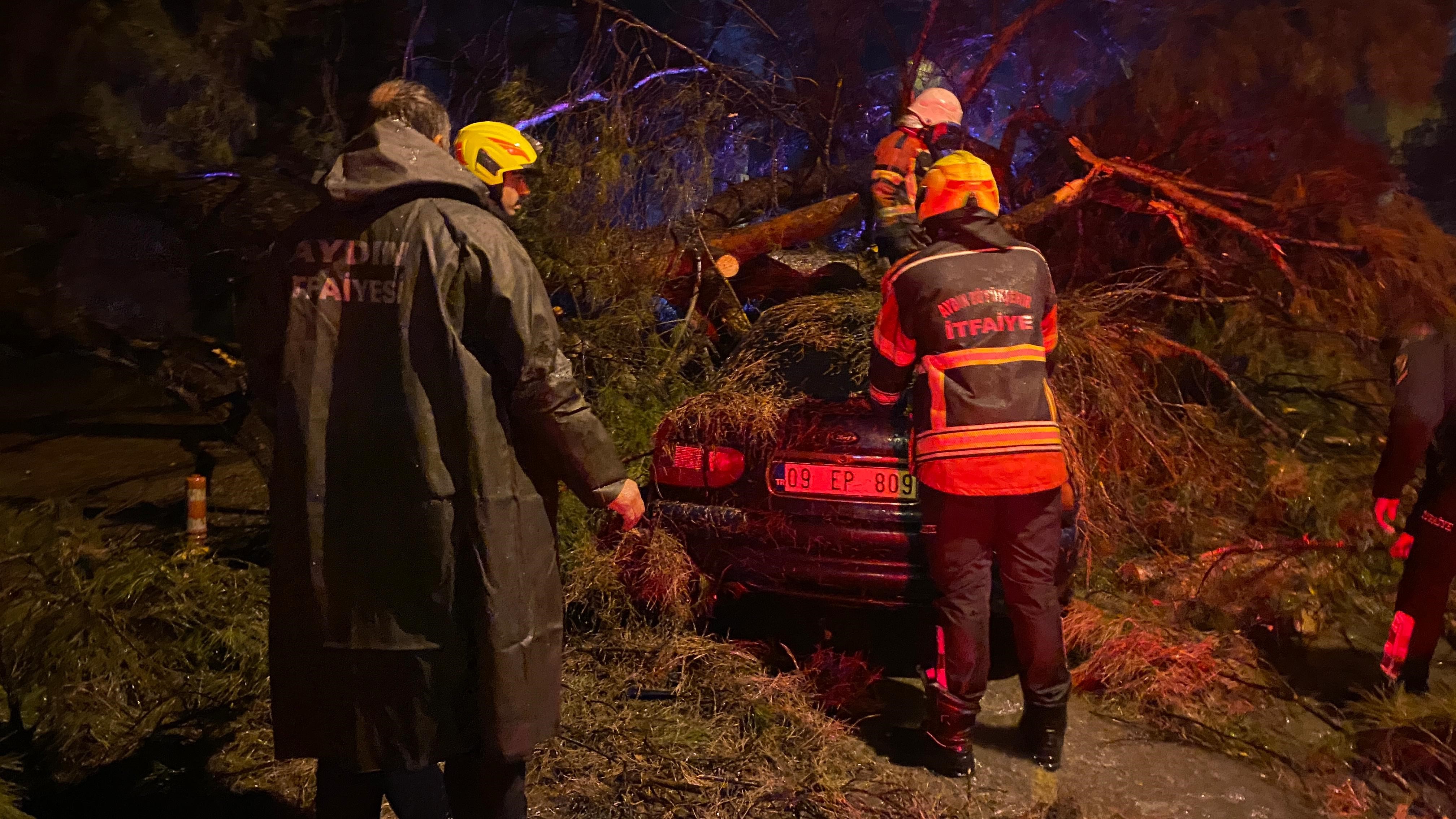 Aydın’da Ağaç Devrildi, 2 Kişi Altında Kaldı (3)
