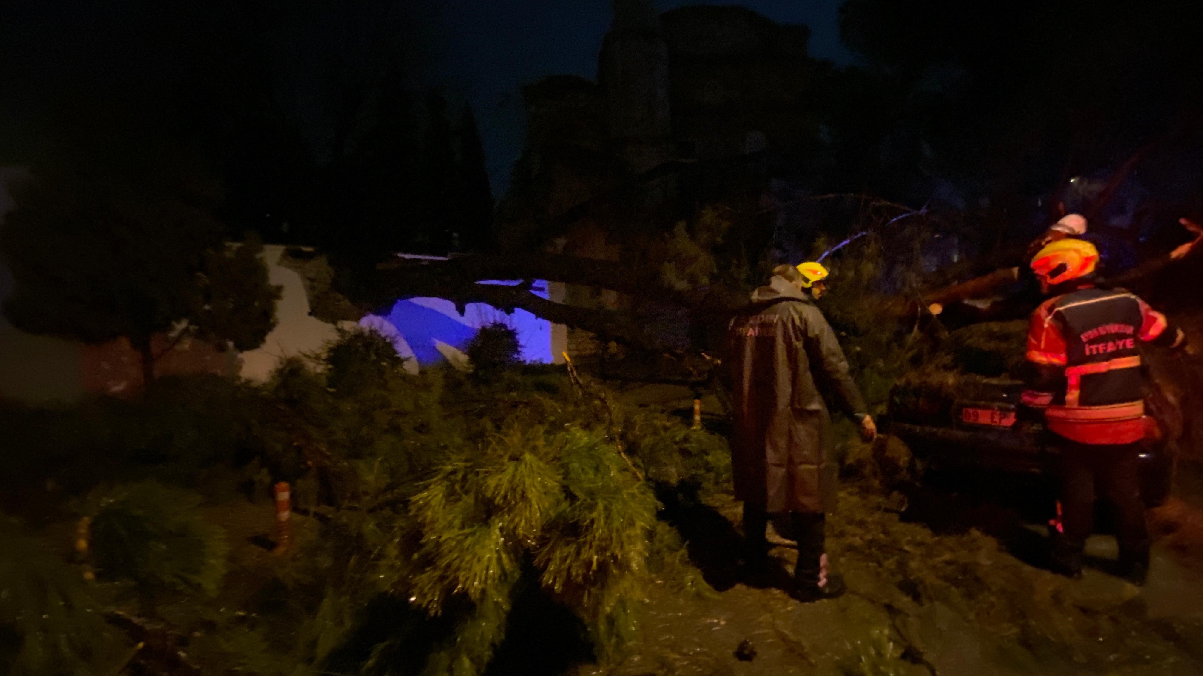 Aydın’da Ağaç Devrildi, 2 Kişi Altında Kaldı (4)