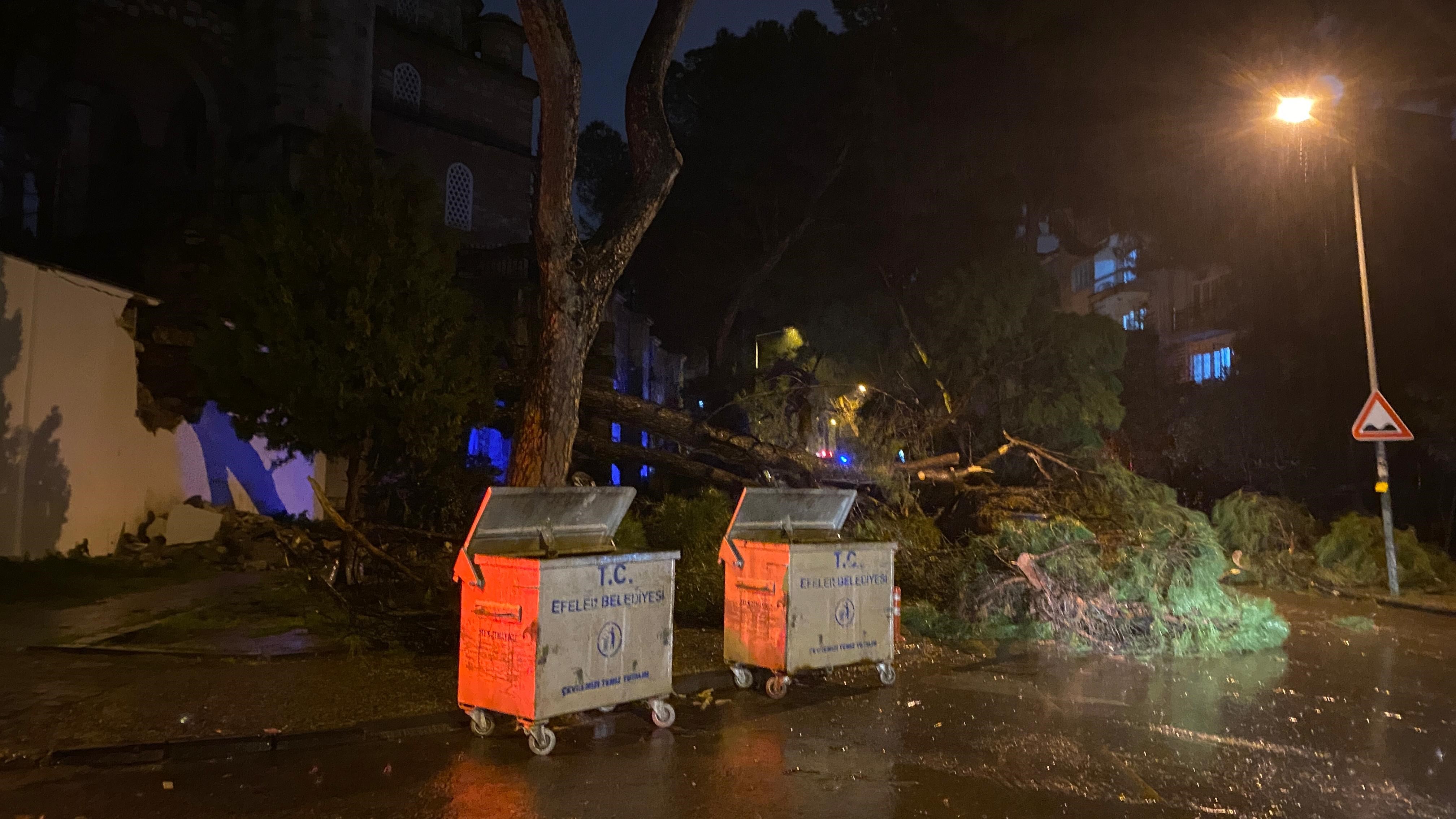 Aydın’da Ağaç Devrildi, 2 Kişi Altında Kaldı (5)