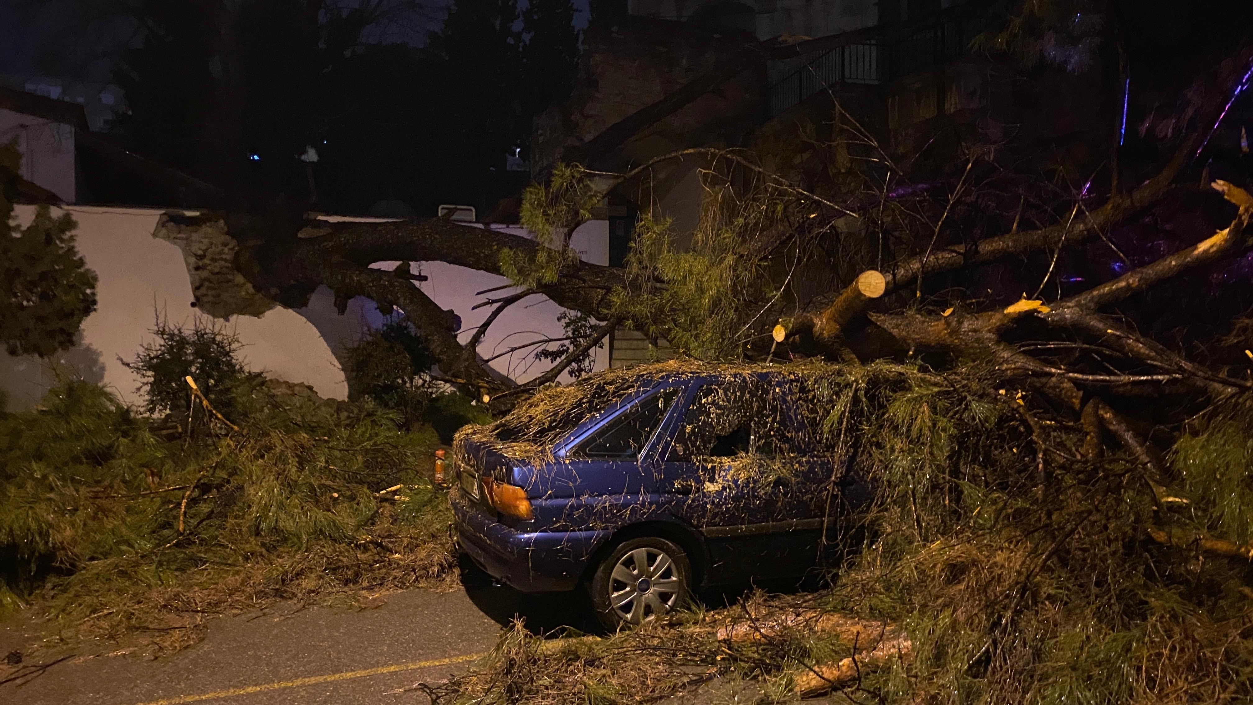 Aydın’da Ağaç Devrildi, 2 Kişi Altında Kaldı (6)