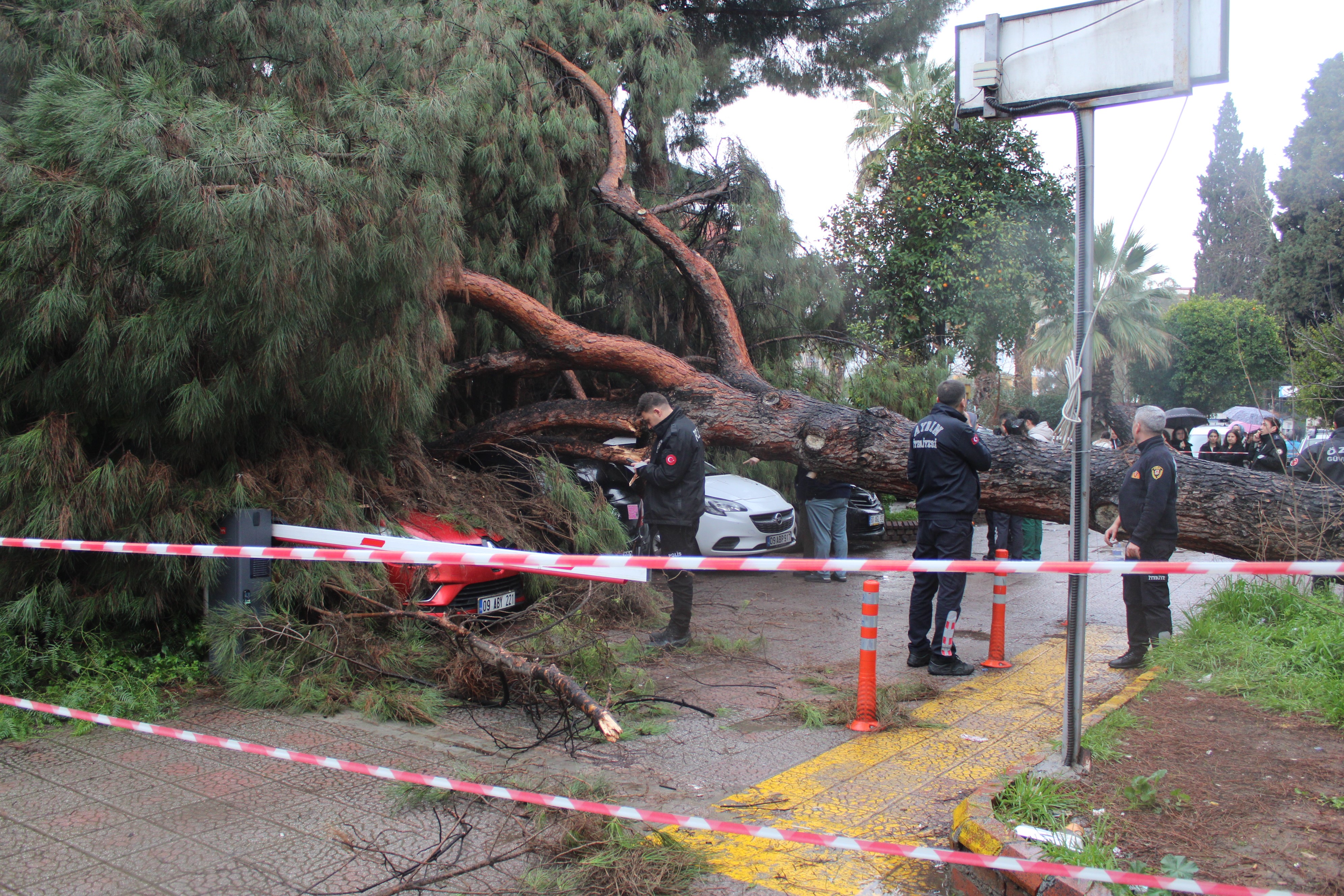 Aydın’da Hastane Bahçesinde Ağaç Devrildi (3)