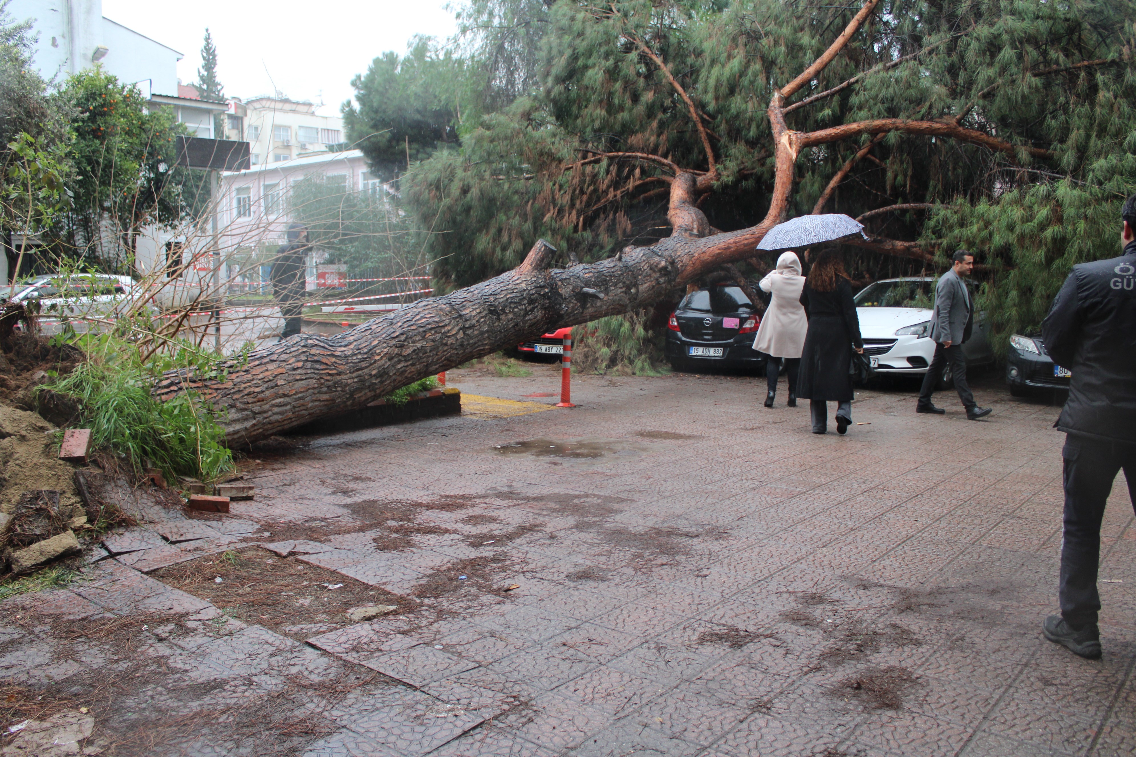 Aydın’da Hastane Bahçesinde Ağaç Devrildi (8)