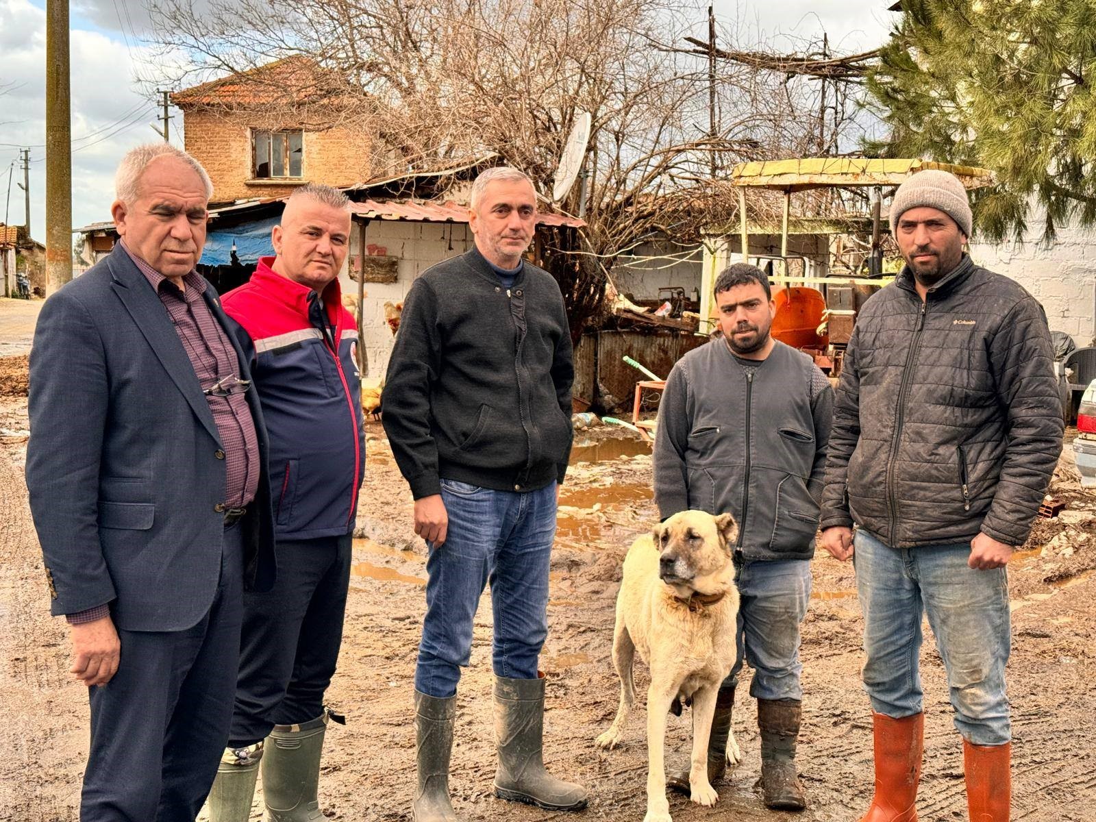 Aydın’da Hayvanlar Güvenli Bölgeye Alınıyor (3)