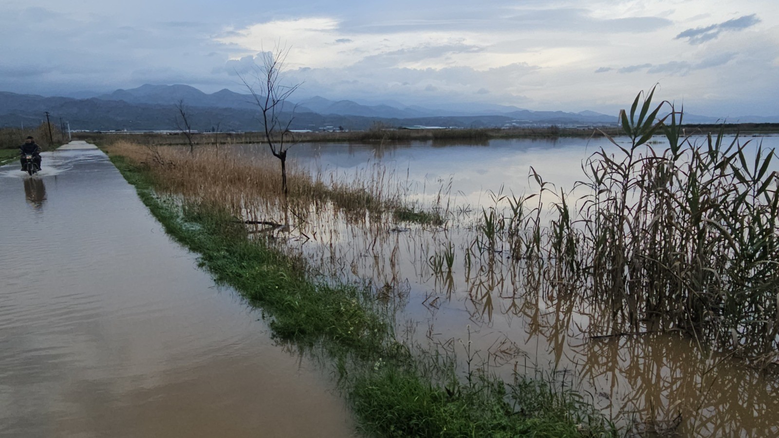 Aydın’da Kurutma Kanalı Taştı, Tarım Arazilerini Su Bastı (3)