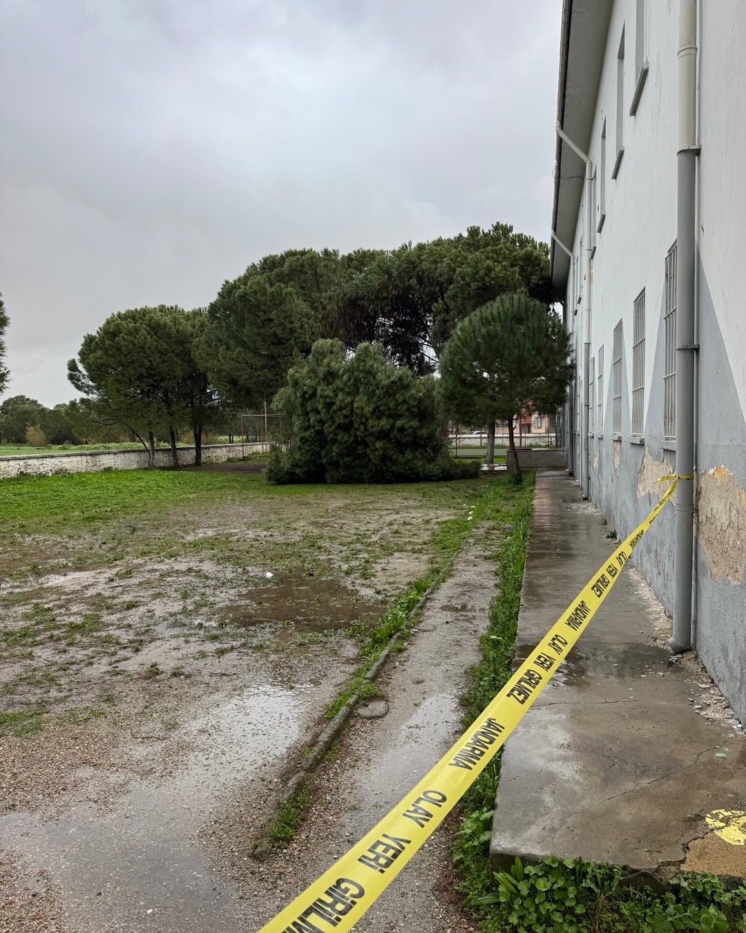 Aydın’da Okul Bahçesindeki Ağaçlar Devrildi (1)