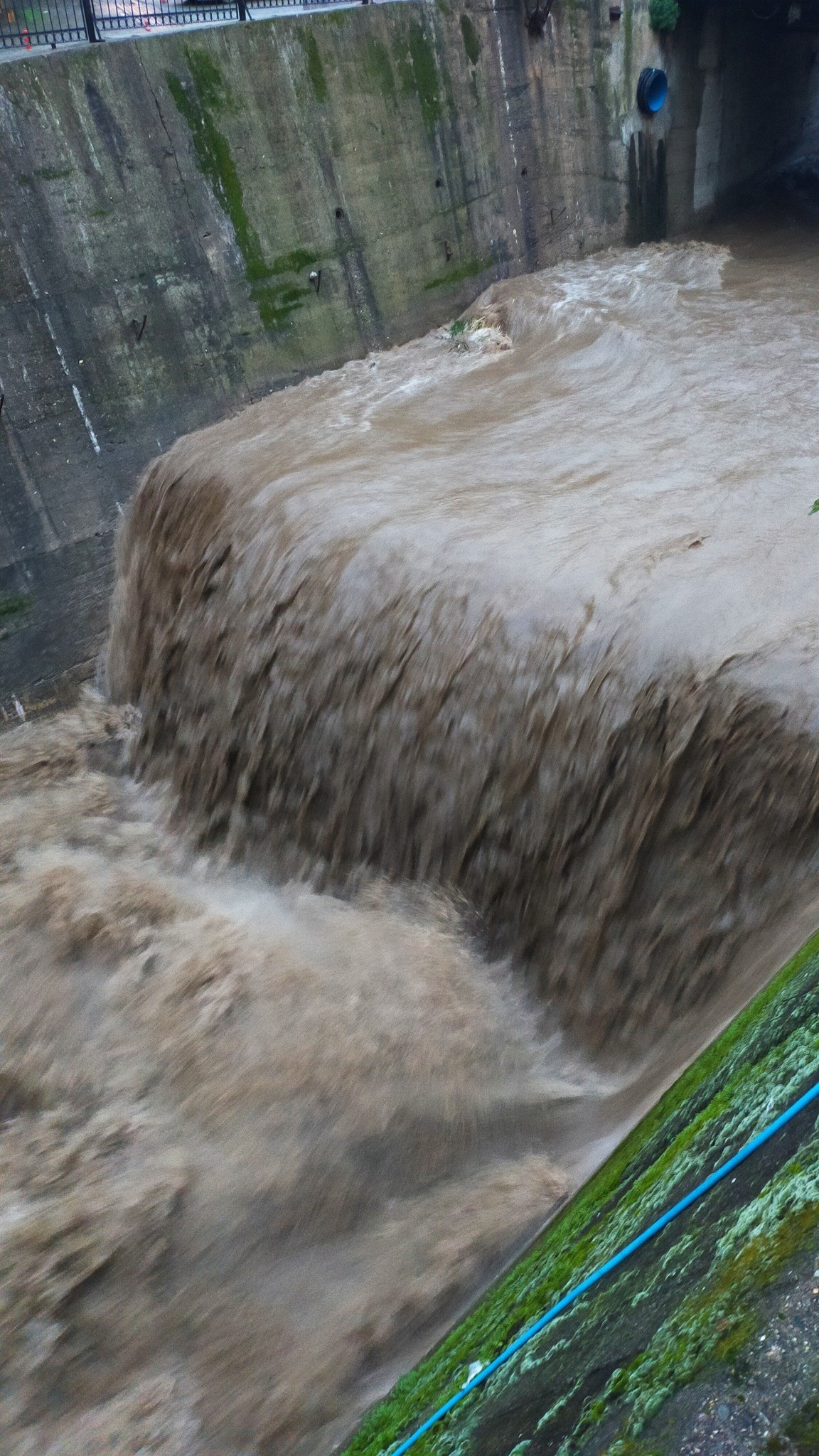 Aydın’da Tabakhane Deresi Gürül Gürül Akıyor (3)