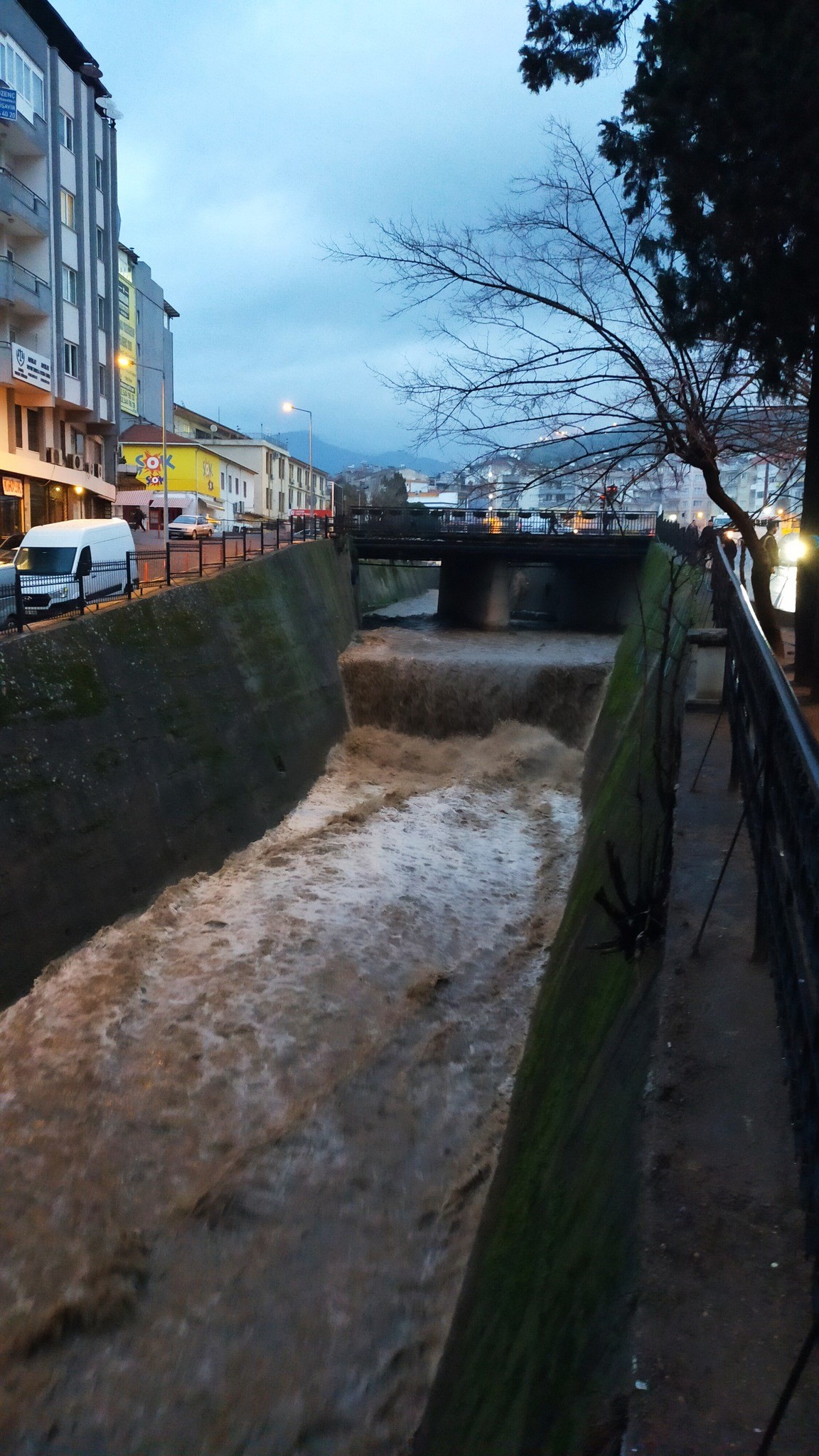 Aydın’da Tabakhane Deresi Gürül Gürül Akıyor (5)