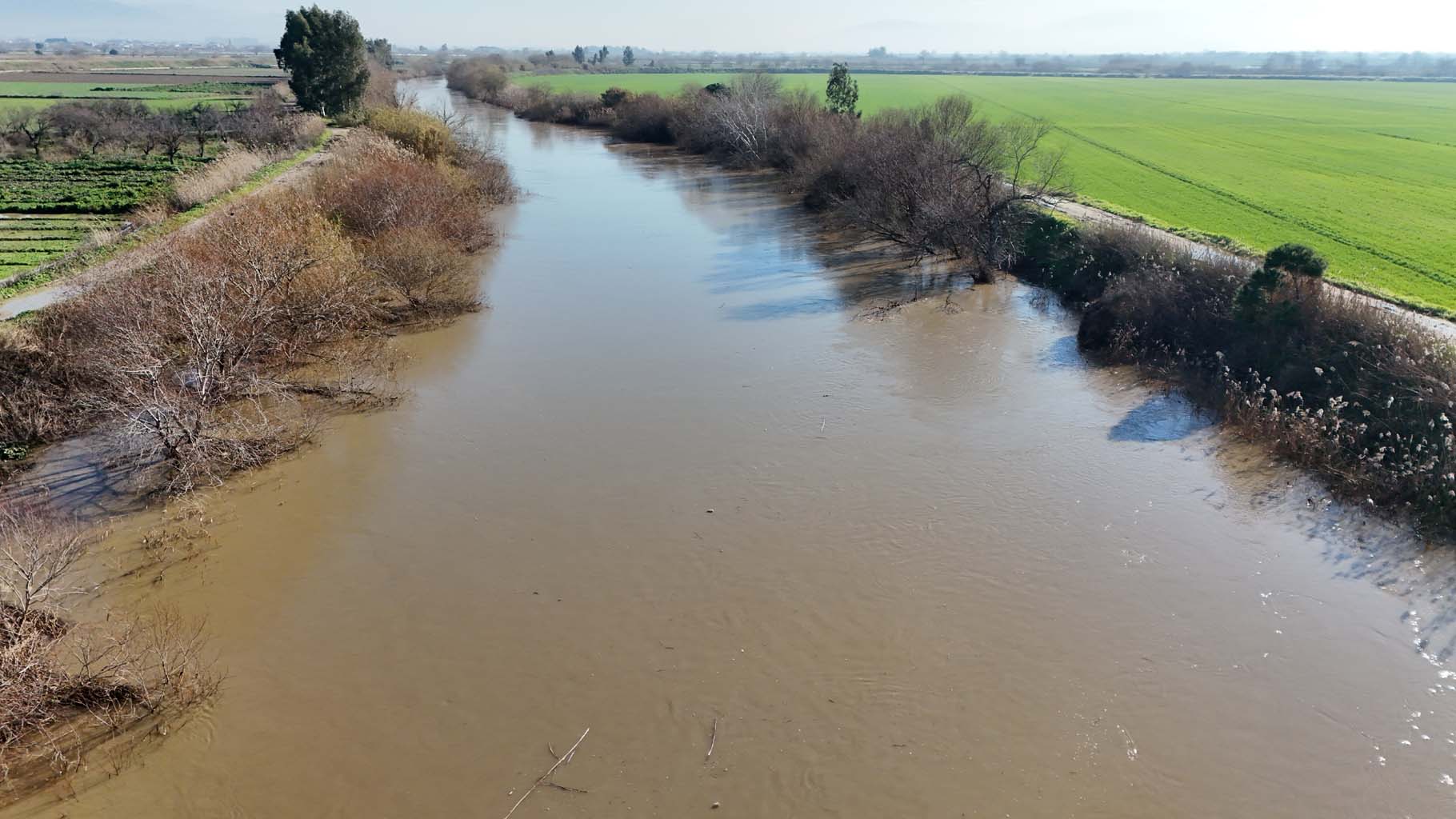 Aydın’da Tarlalar Sular Altında, Menderes Taştı (14)