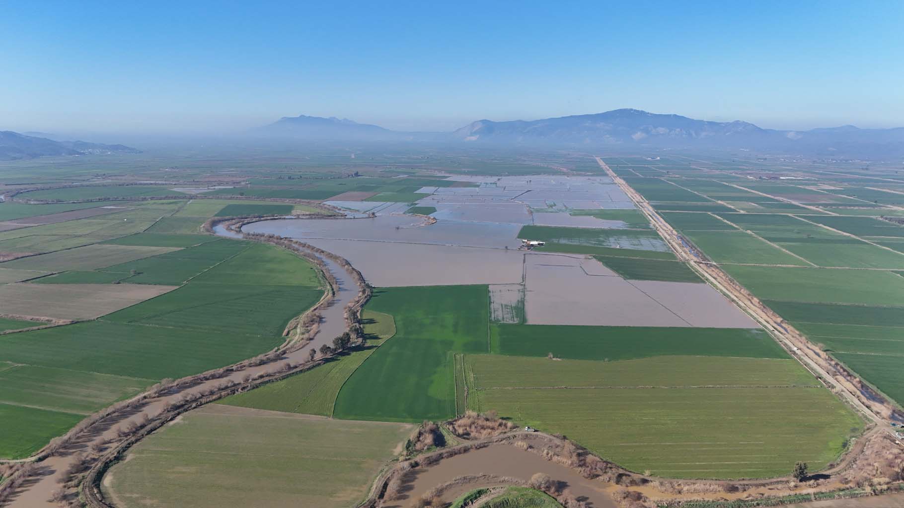 Aydın’da Tarlalar Sular Altında, Menderes Taştı (15)