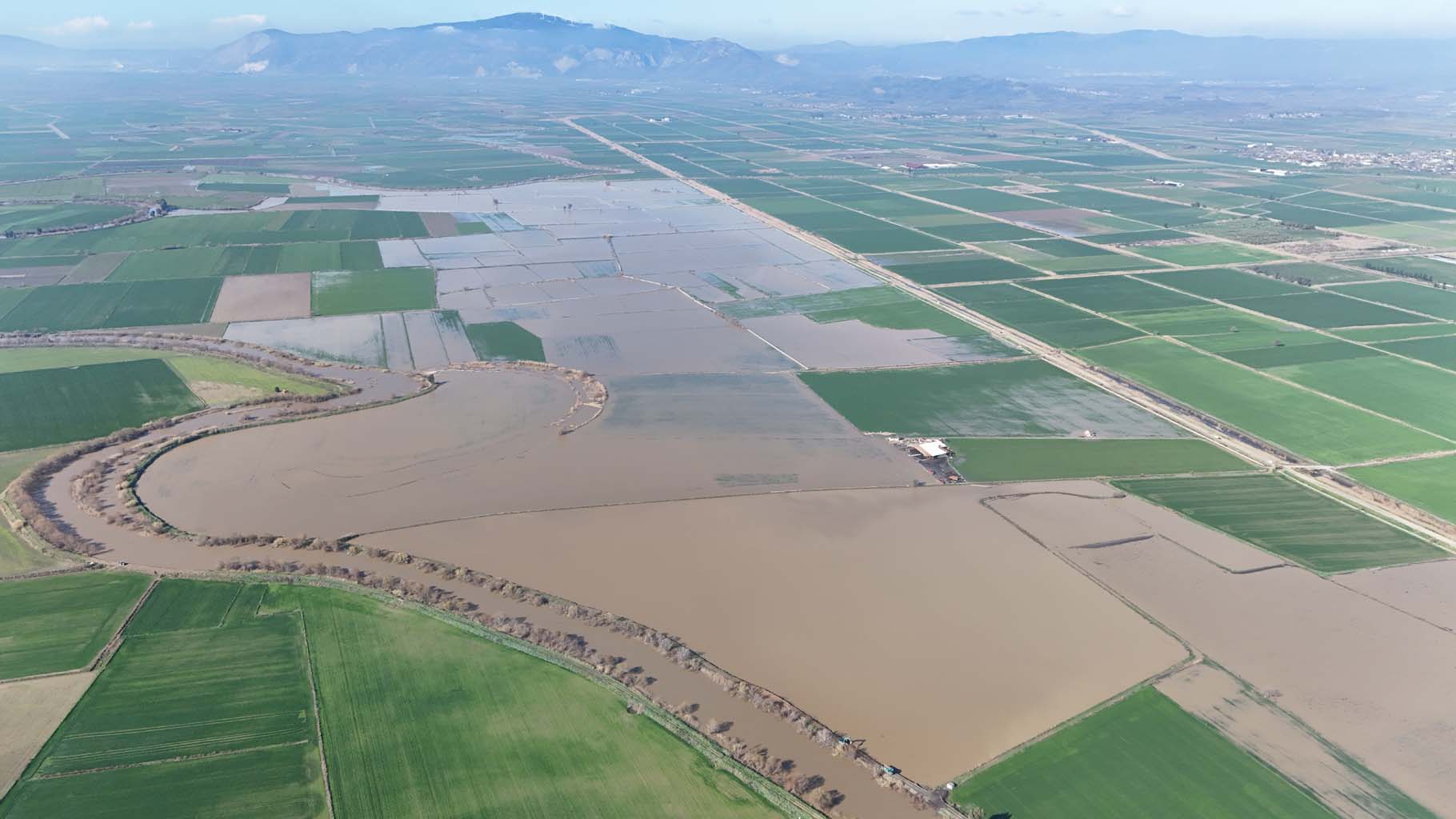 Aydın’da Tarlalar Sular Altında, Menderes Taştı (5)