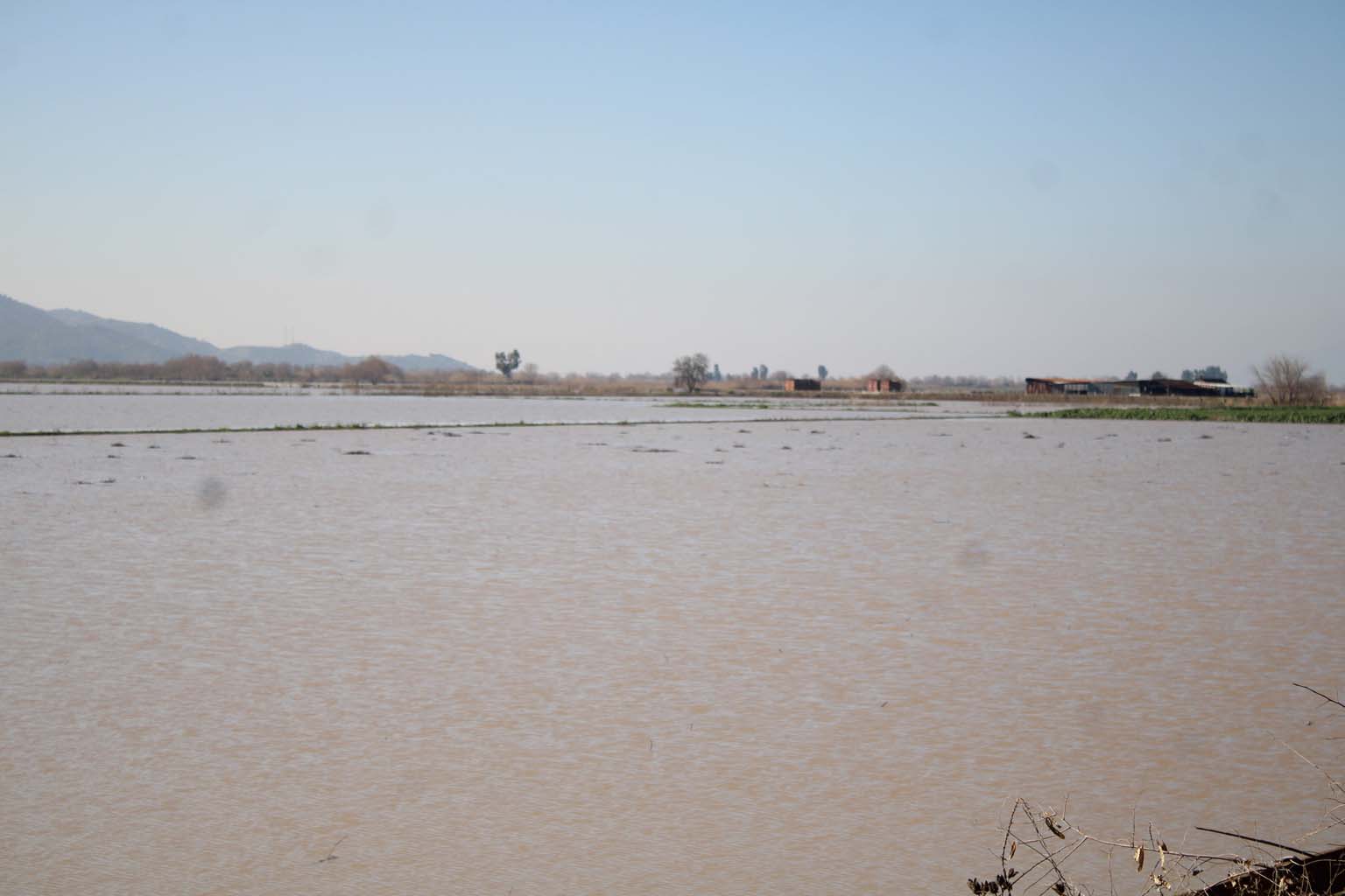 Aydın’da Tarlalar Sular Altında, Menderes Taştı (9)