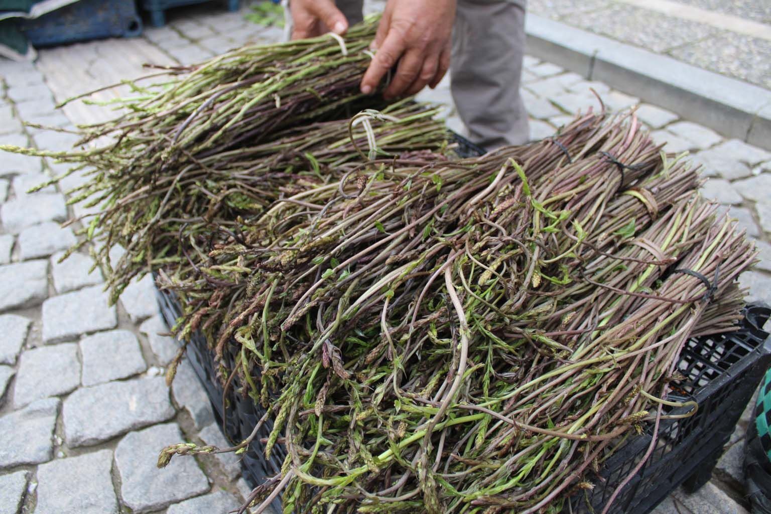 Aydın’ın Sarmaşık Ve Kedirgenleri Tezgaha Çıktı (4)