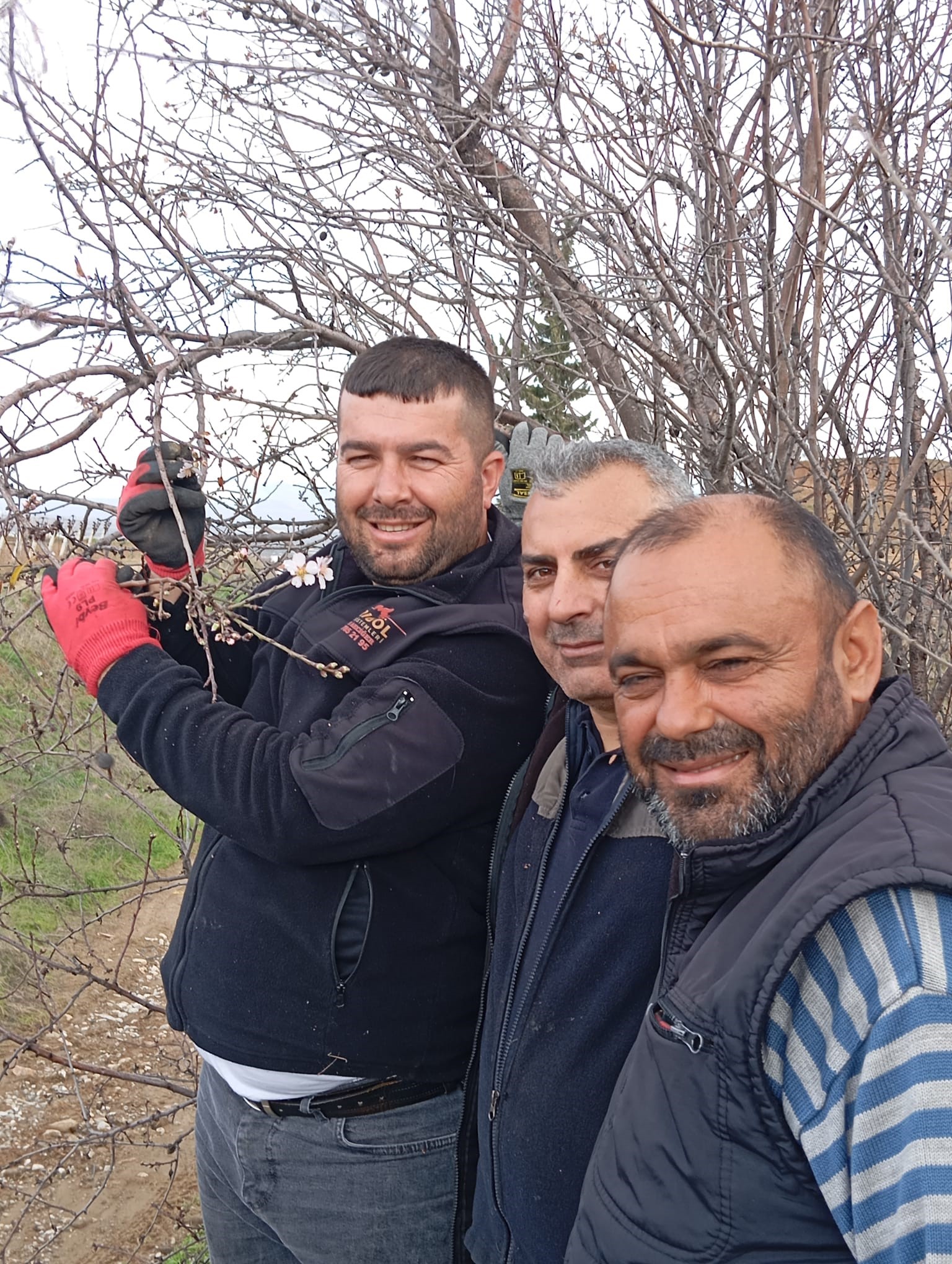 Badem Ağaçları Çiçek Açtı, Çiftçi Endişelendi (4)