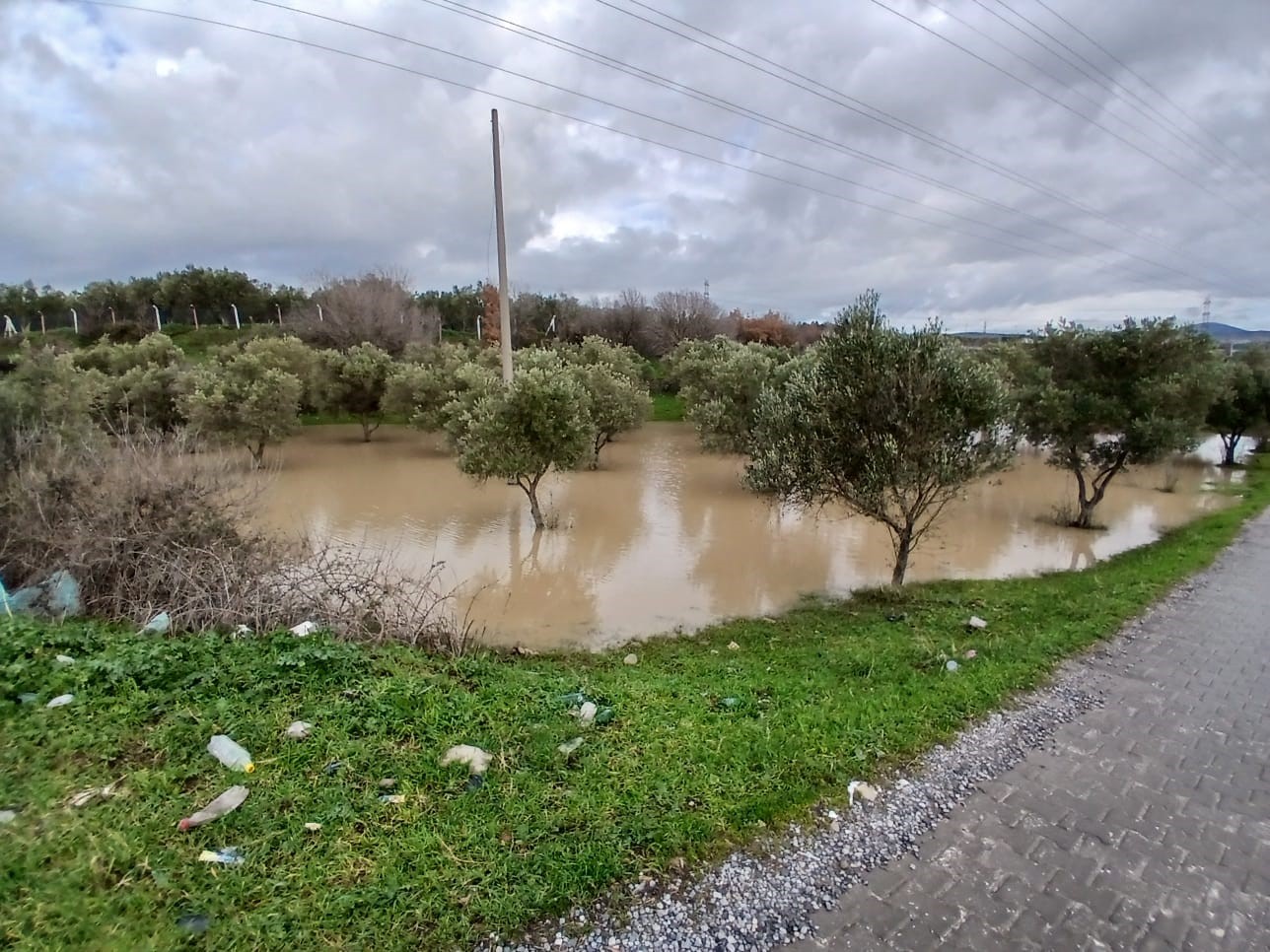 Bakırçay Taştı, Sokaklar Sular Altında Kaldı (6)