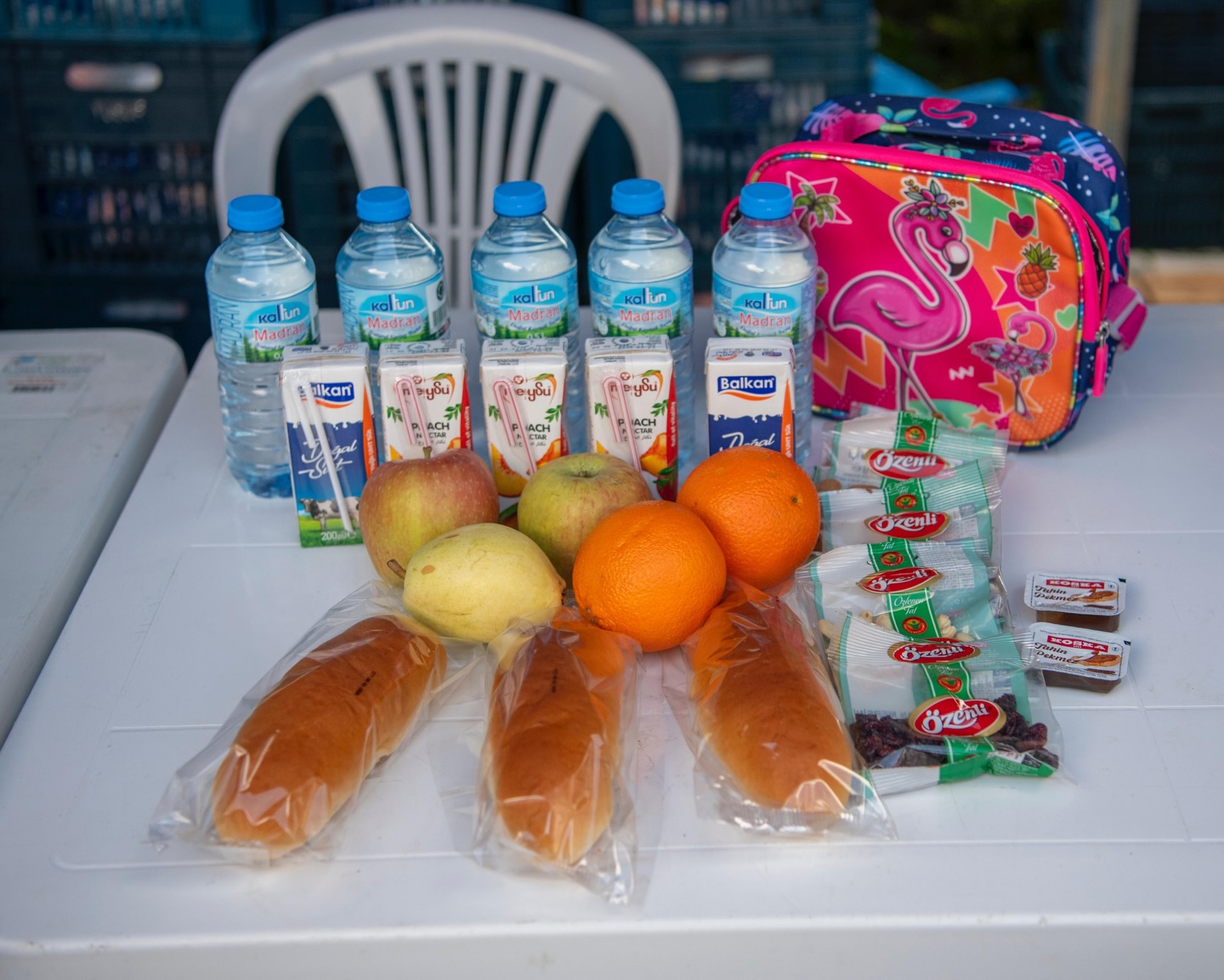 Beslenme Desteği (1)-2