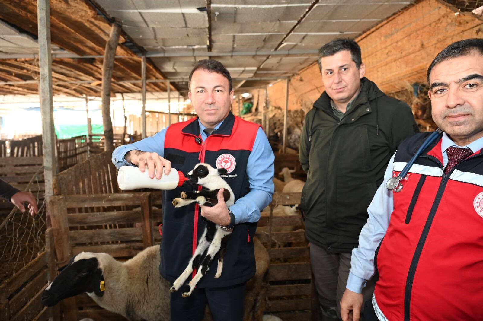 Bir Batında 9 Yavru Dünyaya Getirdi (3)