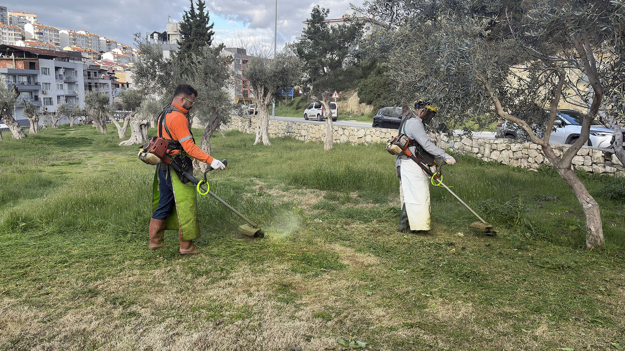Daha Yesil Bir Kusadasi (1)-1