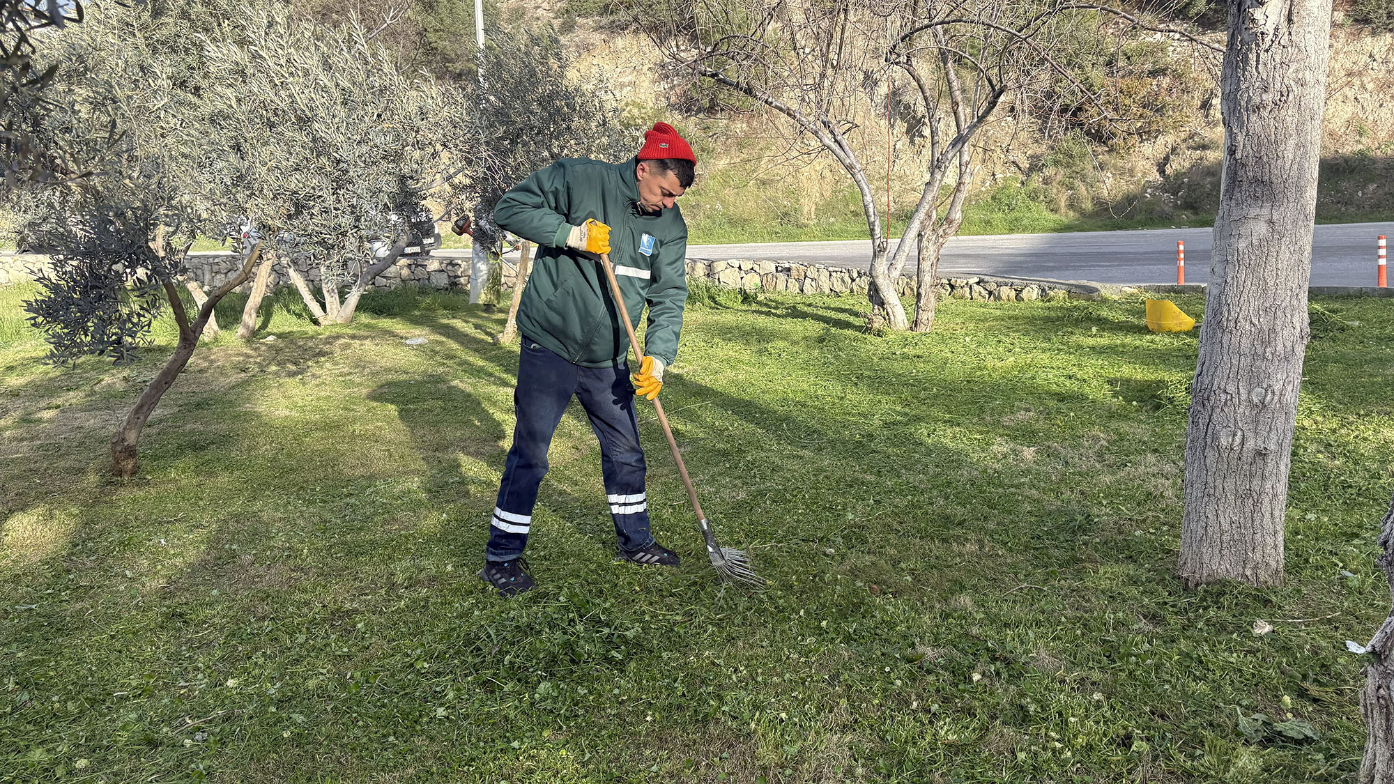 Daha Yesil Bir Kusadasi (2)-1