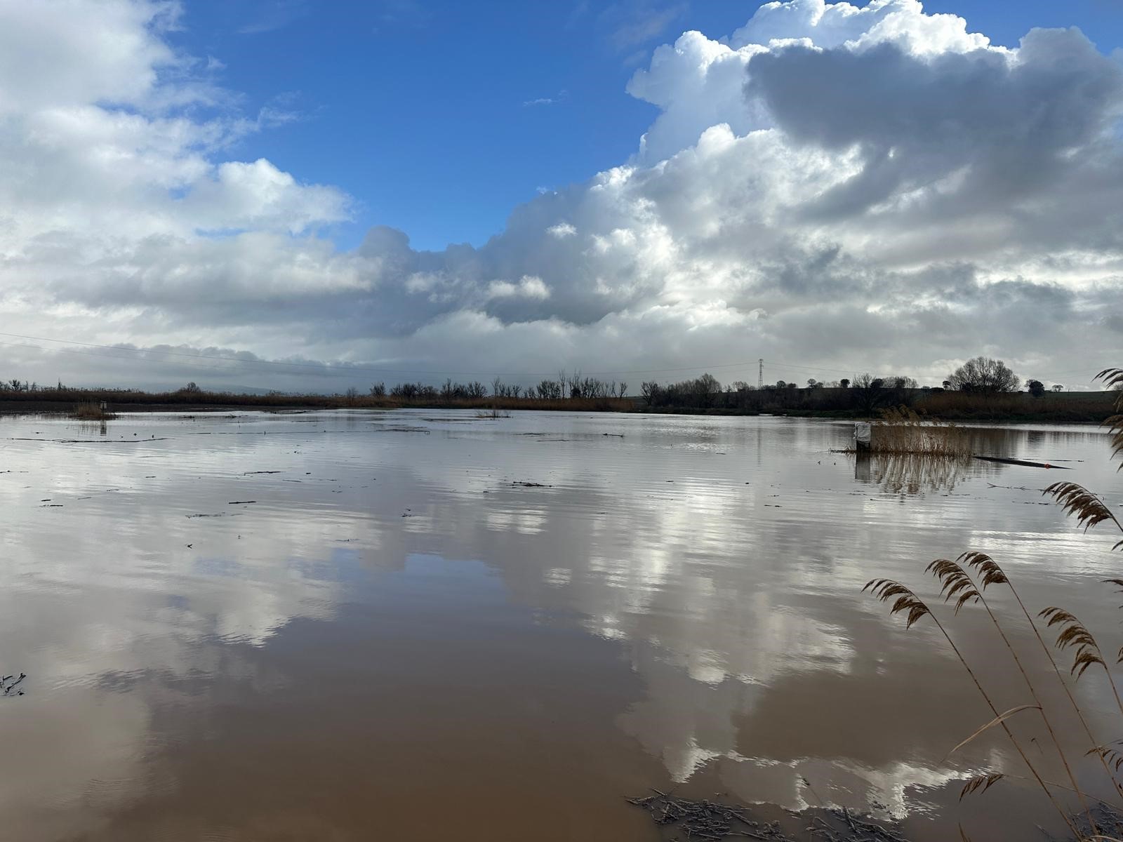 Değirmendere Deresi Taştı, Tarım Arazilerini Ve Iş Yerlerini Su Bastı (6)