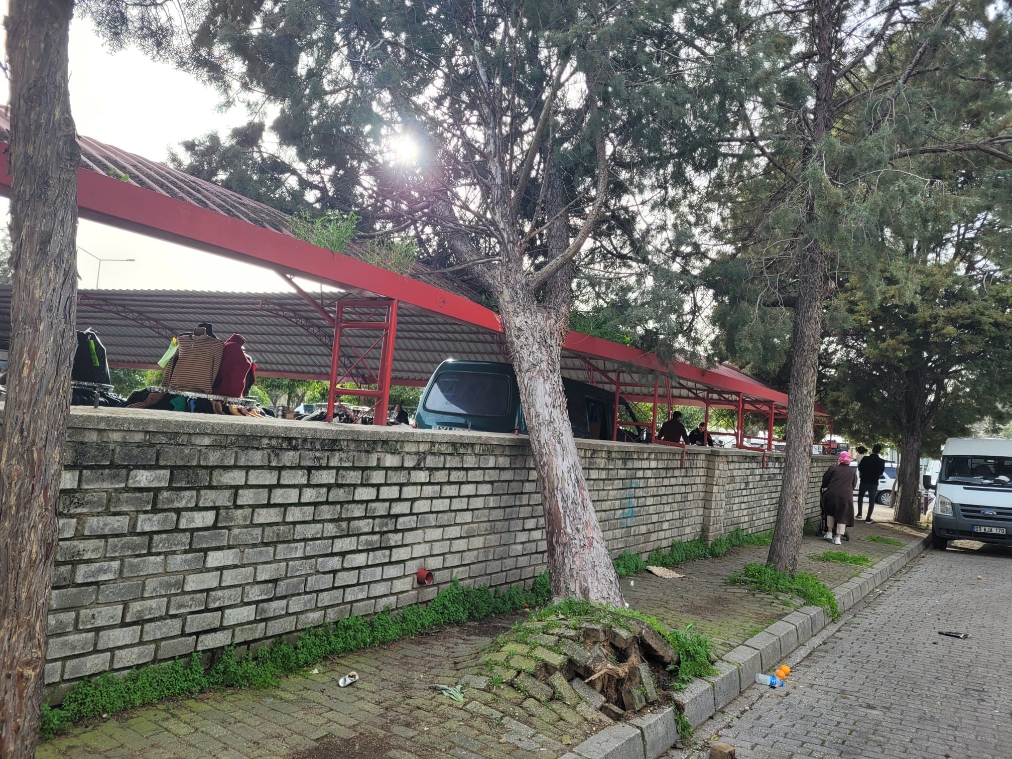 Efekent Pazaryeri’nde Rüzgar Ağacı Devirdi (2)