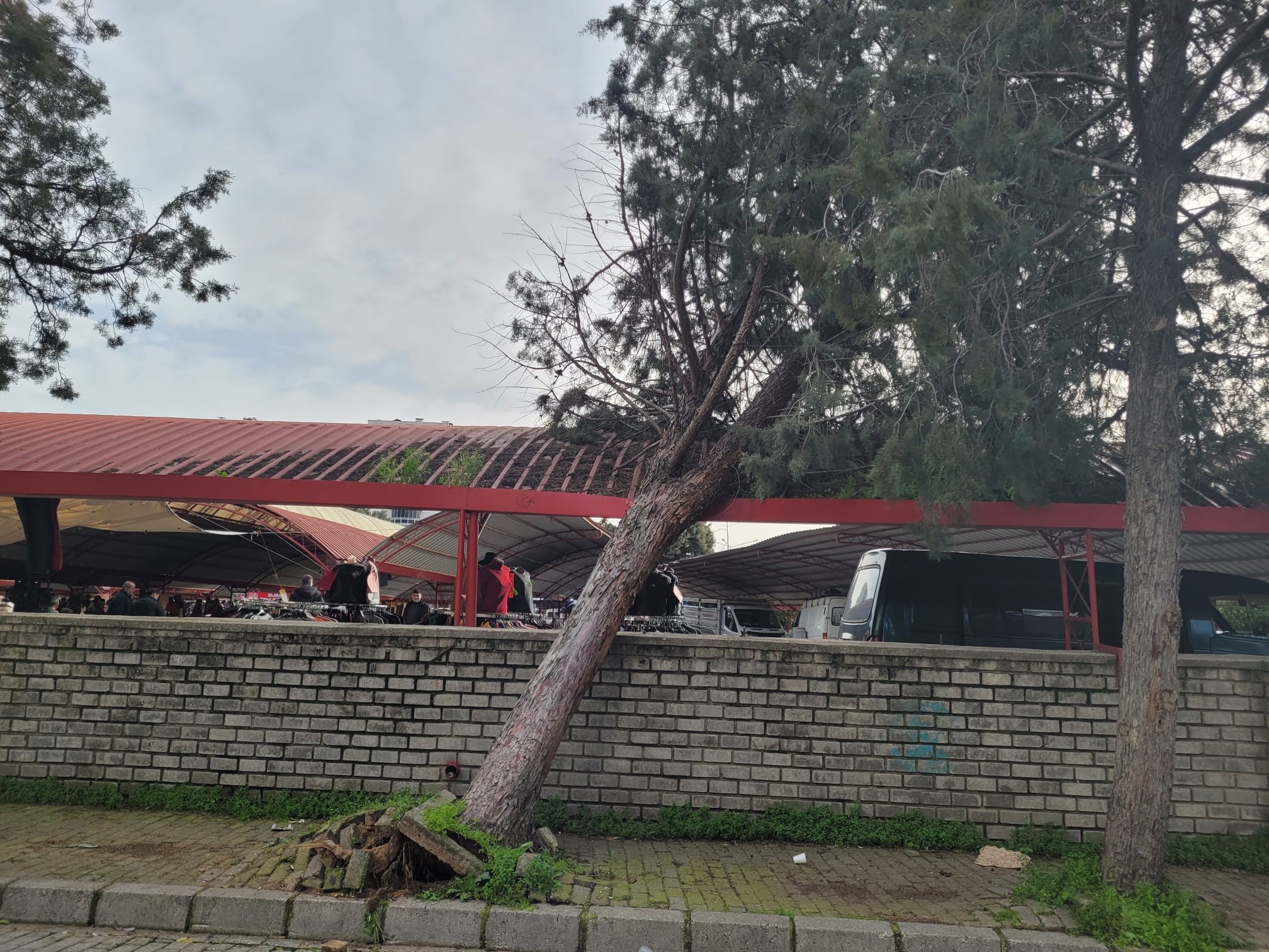 Efekent Pazaryeri’nde Rüzgar Ağacı Devirdi (3)