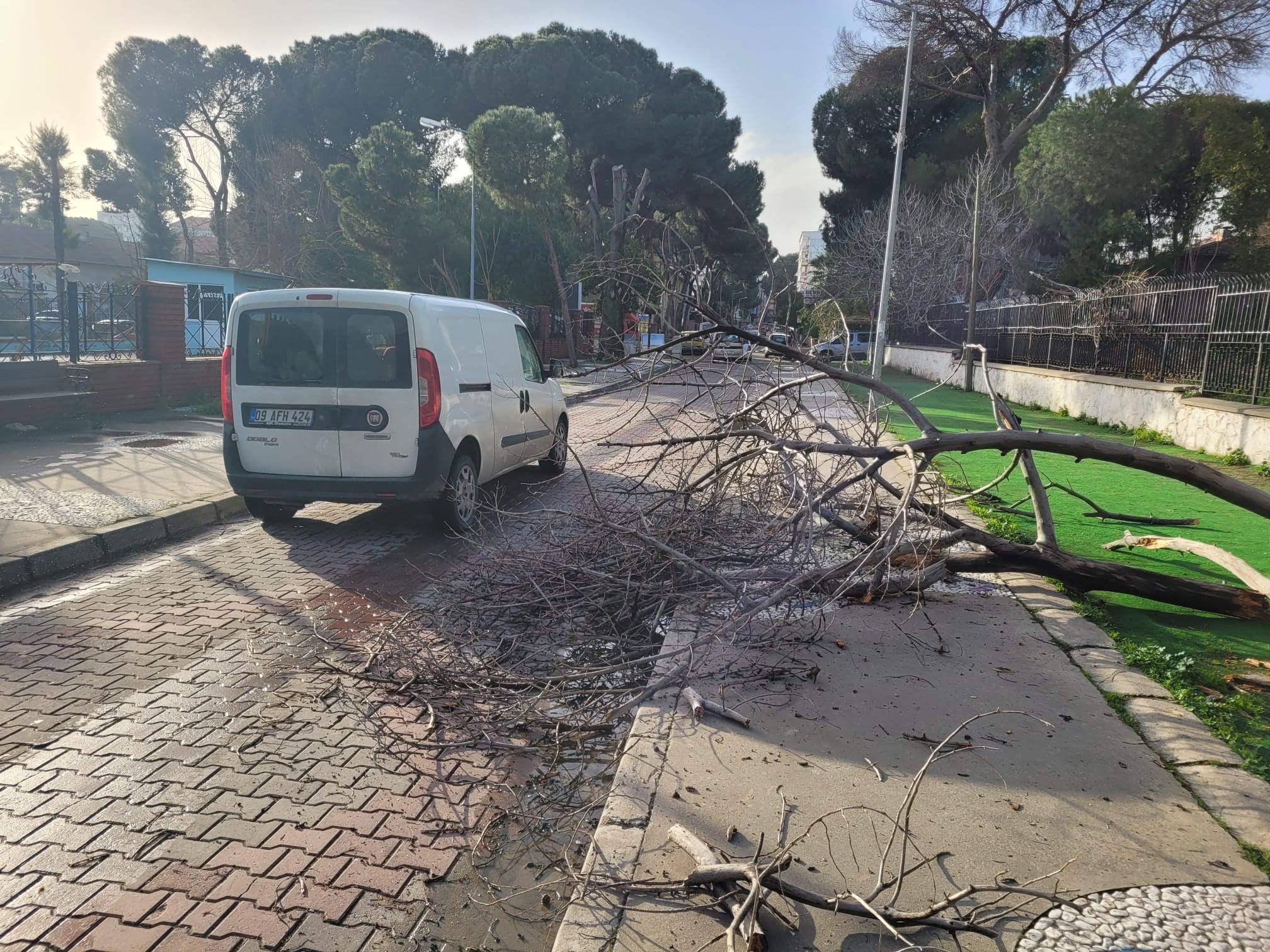 Efeler’de Ağaç Yola Devrildi (3)