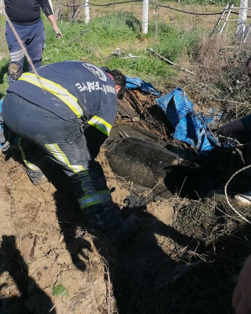 Foseptik Çukuruna Düştü (4)