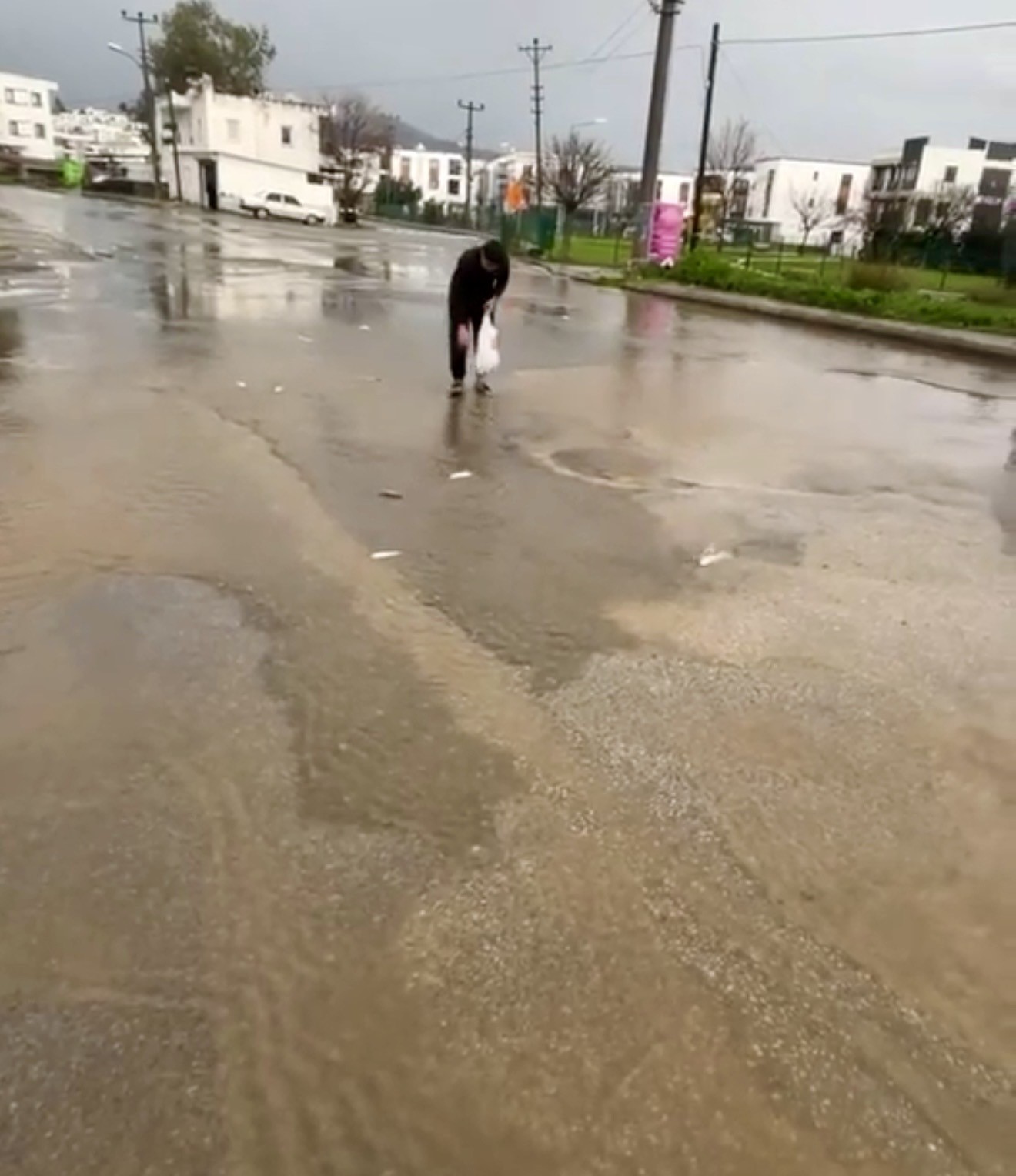 Gölet Taştı, Asfalta Balık Yağdı (2)