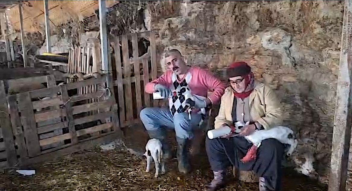 Hobi Olarak 4 Koyunla Başlayan Kardeşler 600 Hayvan Sayısına Ulaştı (4)