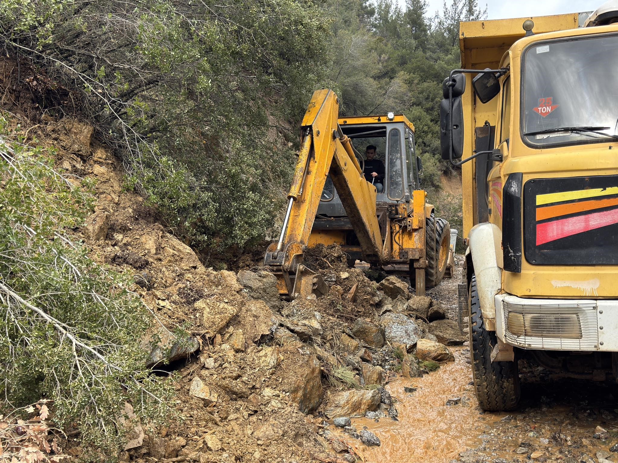 Karacasu'da Toprak Kaydı, Ağaçlar Devrildi (3)