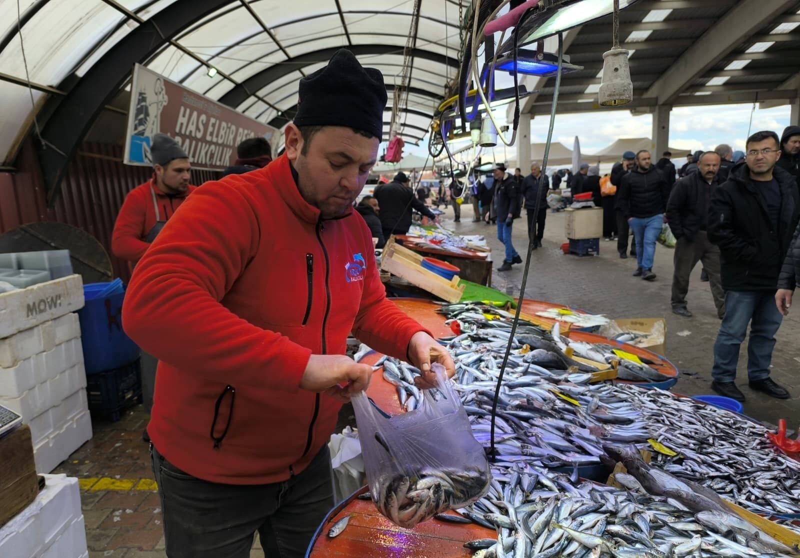Kırmızı Et Alamayan Balık Alıyor (2)
